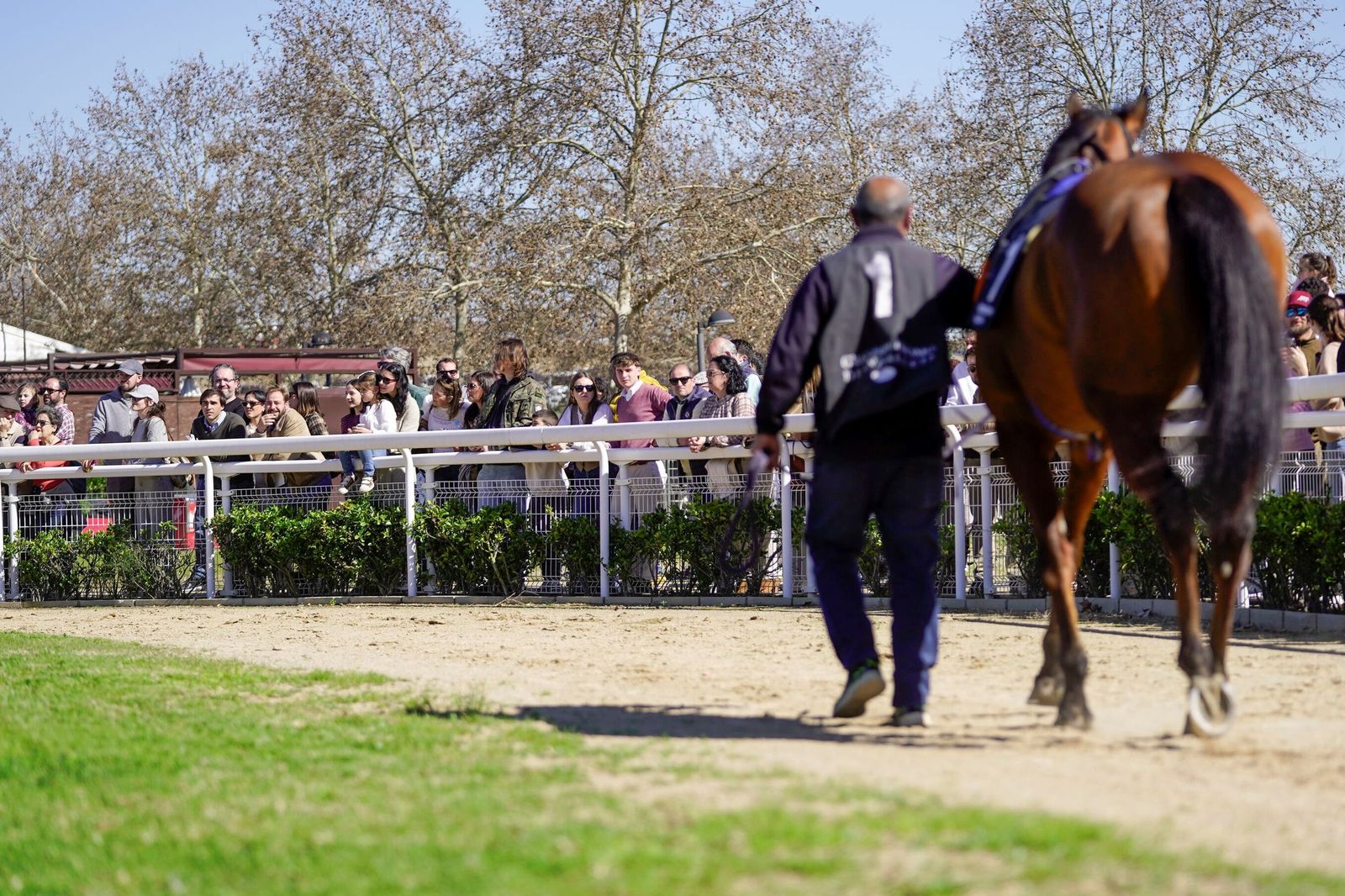 Las fotos del Premio Diario de Sevilla en el hipódromo de Dos Hermanas