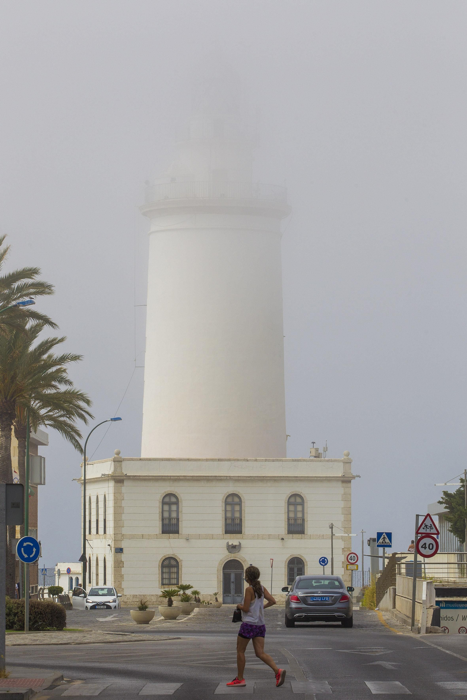 El taró provoca la prohibición del baño en las playas de Málaga, en imágenes