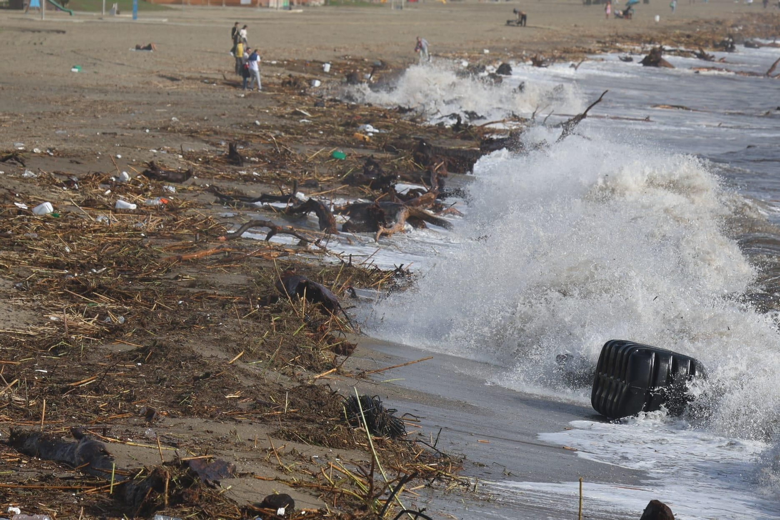 Las playas de Málaga despiertan con el agua revuelta y llenas de cañas