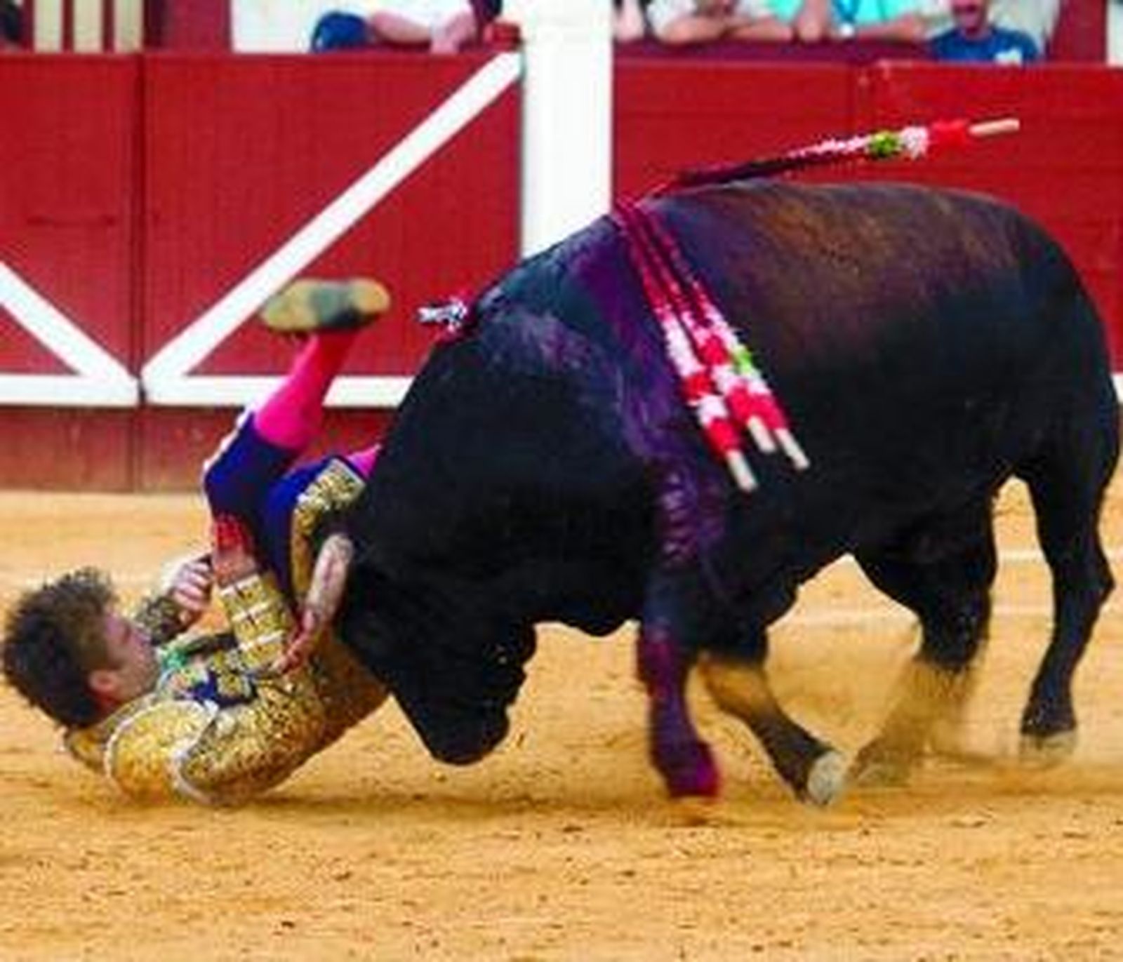 Momento en el que José Tomas es cogido por su primer toro.