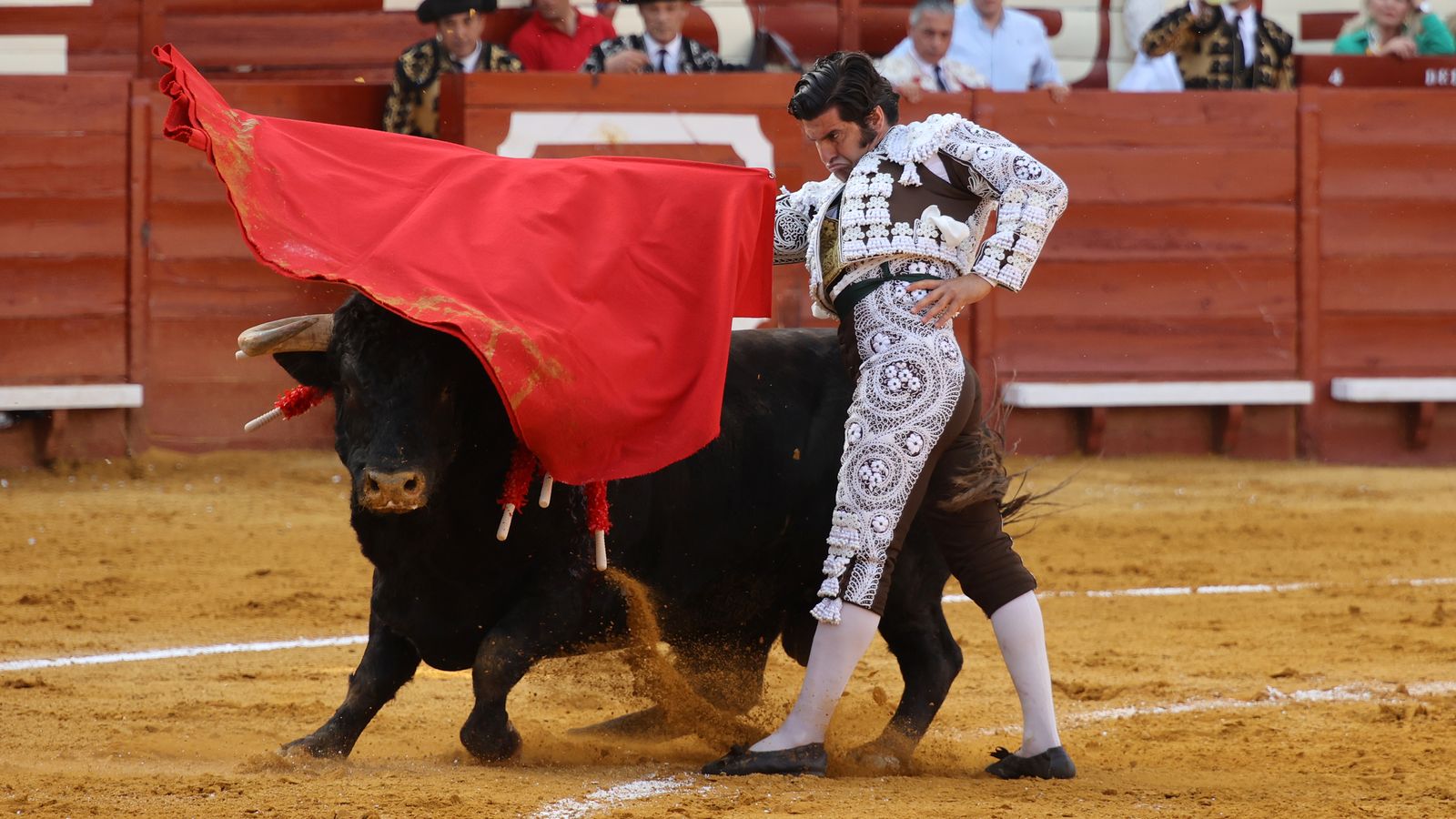 Tercera tarde de toros y última de la Feria de Jerez con Morante, Juan Ortega y Roca Rey
