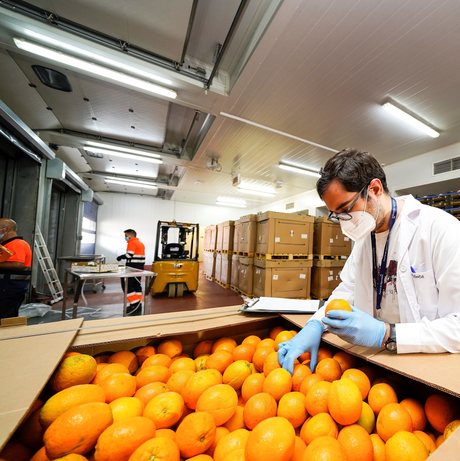 Inspección vegetal en el Puerto de Algeciras.