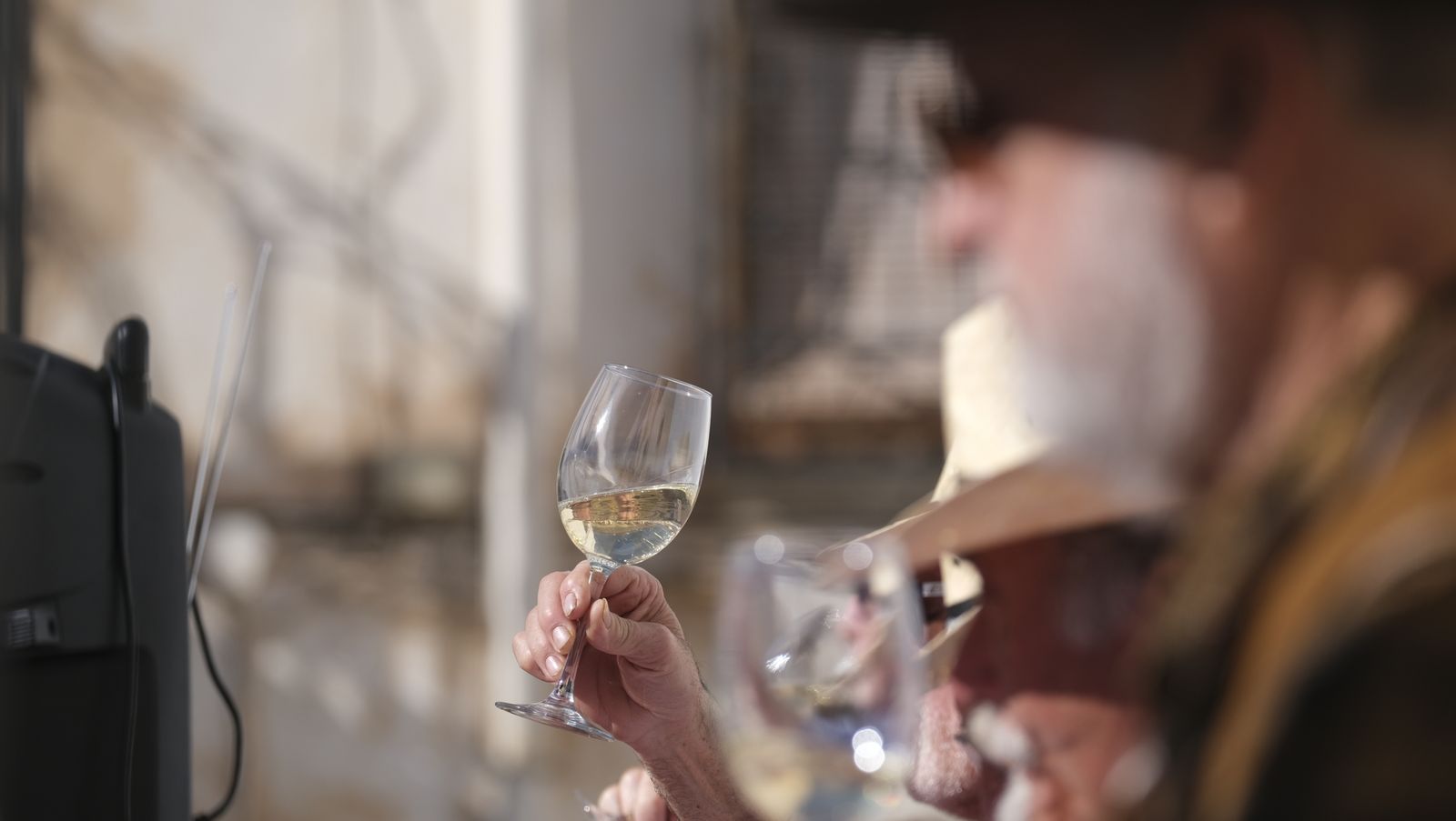 Imágenes del Certamen de Mostos de Fiñana