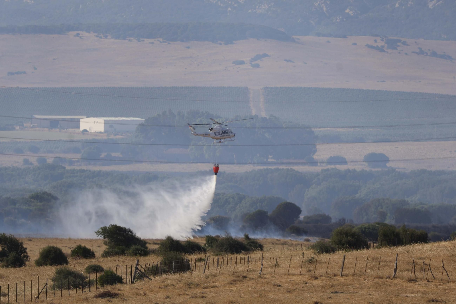 Las fotografías del incendio forestal en Facinas (Tarifa)