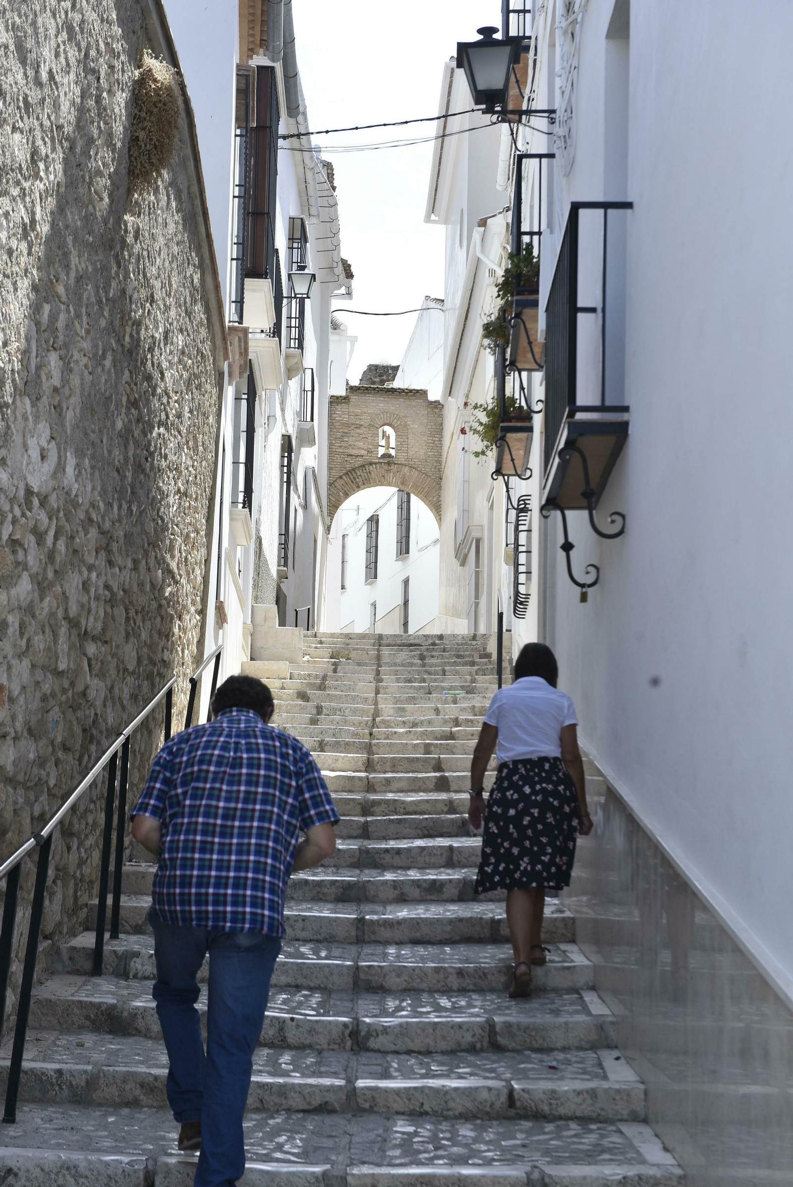 Estepa, en imágenes