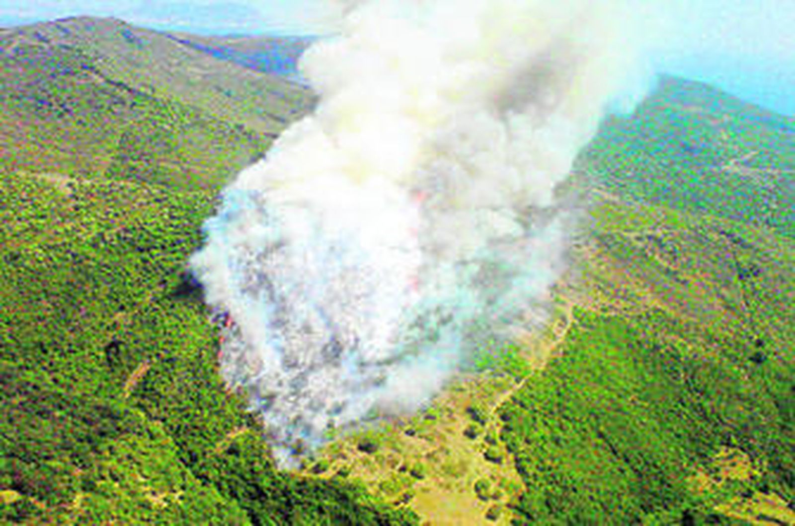 Imagen del área arrasada del parque natural del Estrecho tomada desde un helicóptero del Plan Infoca, el pasado martes.