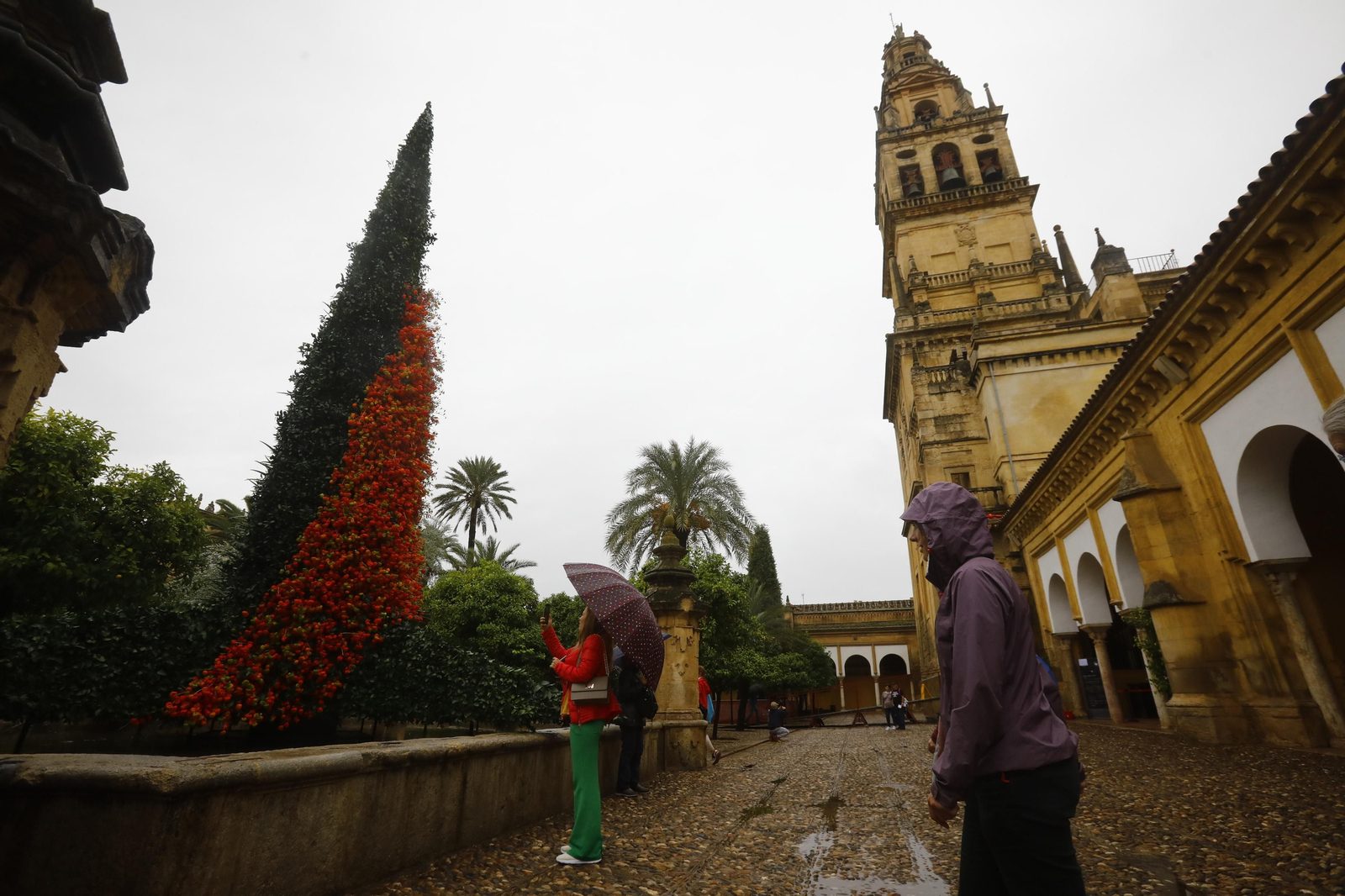 La apertura de las creaciones de Flora en Córdoba, en imágenes