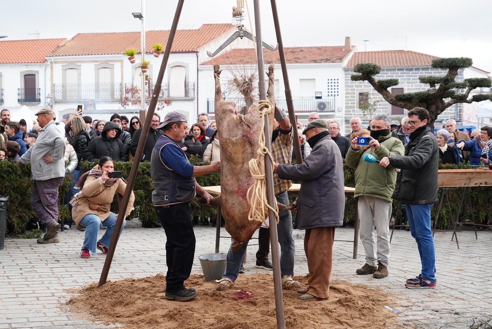 XX Fiesta de la Matanza de Alcaracejos