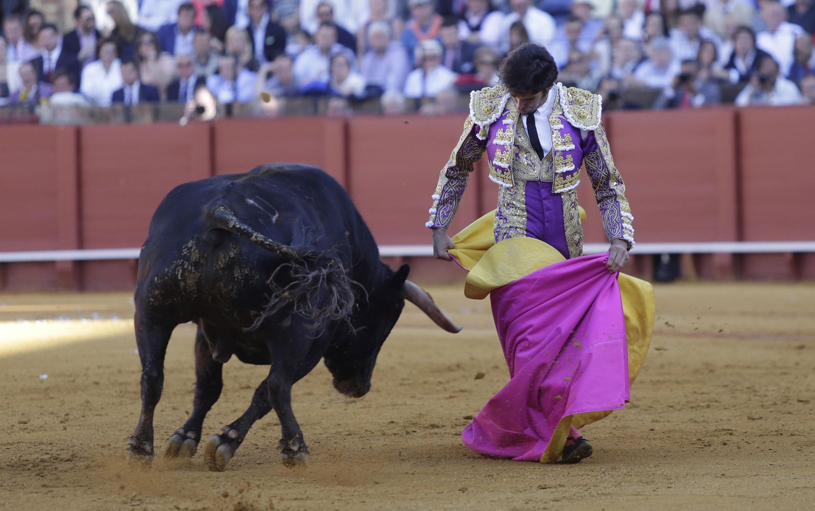 Cayetano Rivera Ordóñez.