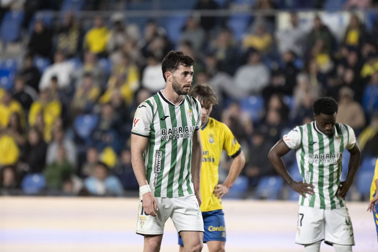Las mejores fotos del triunfo del Córdoba CF ante Las Palmas