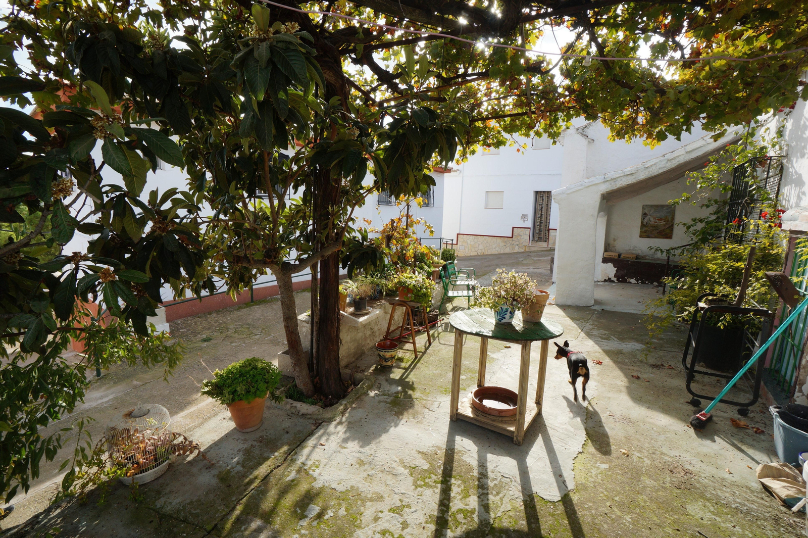 Las fotografías de la aldea cordobesa de El Poleo y su rincón típico andaluz