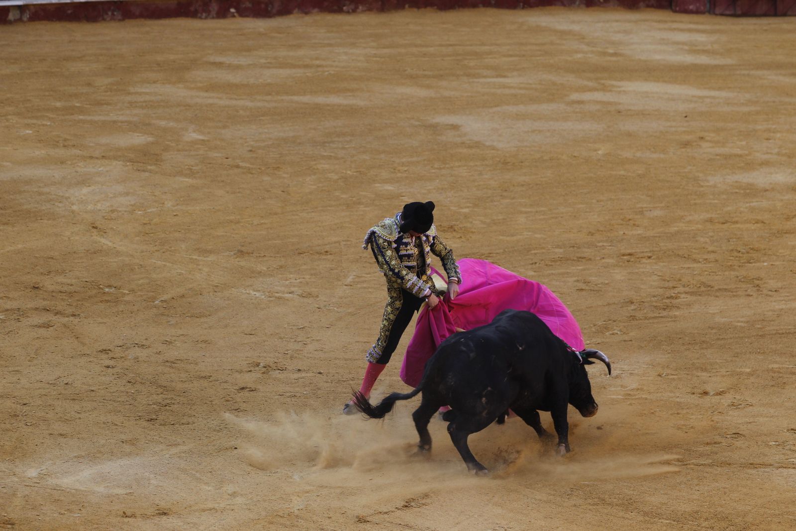 Fotogalería novillada Escuela Taurina de Almería. Feria de Almería 2019