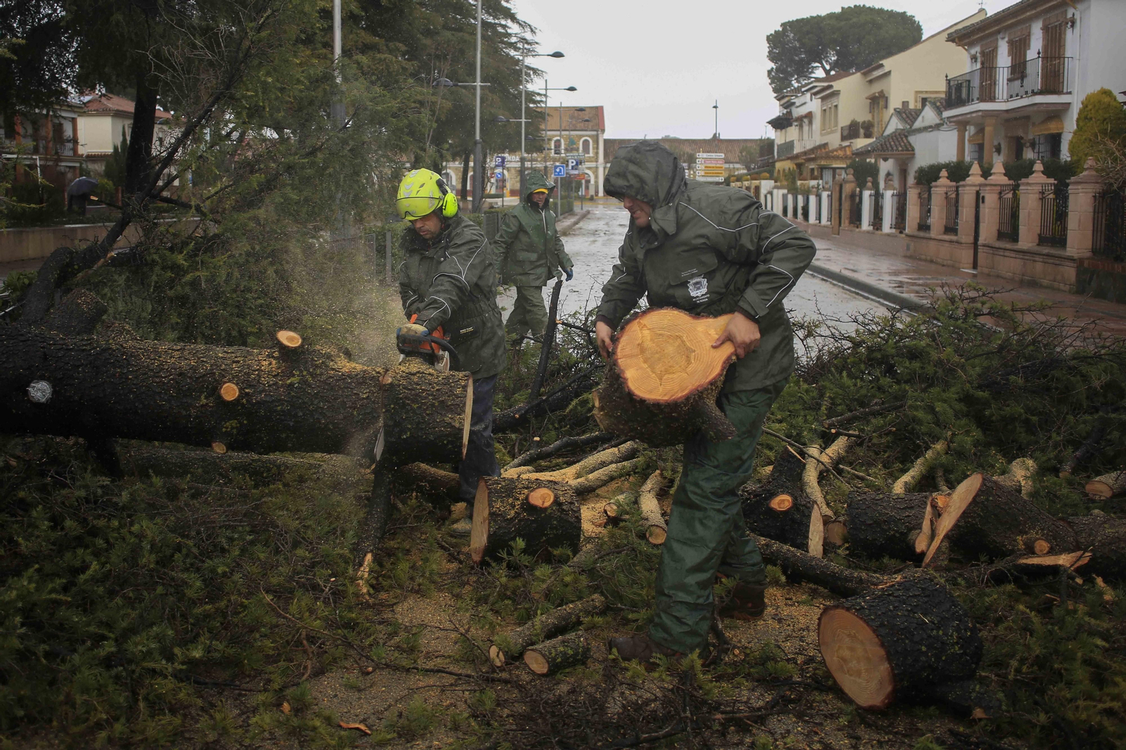 Temporal de viento y lluvia en la provincia
