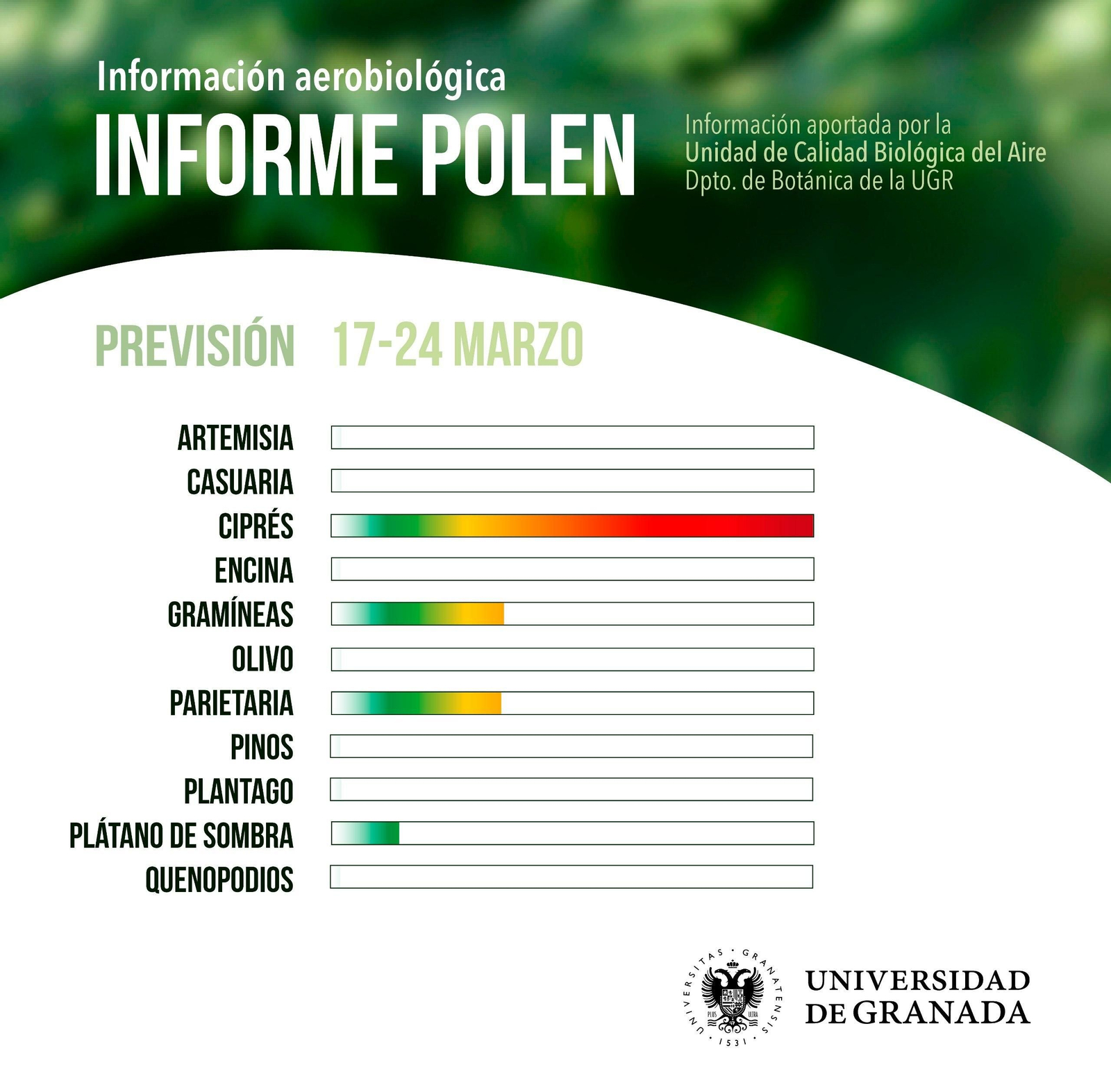 Informe del polen de la UGR.