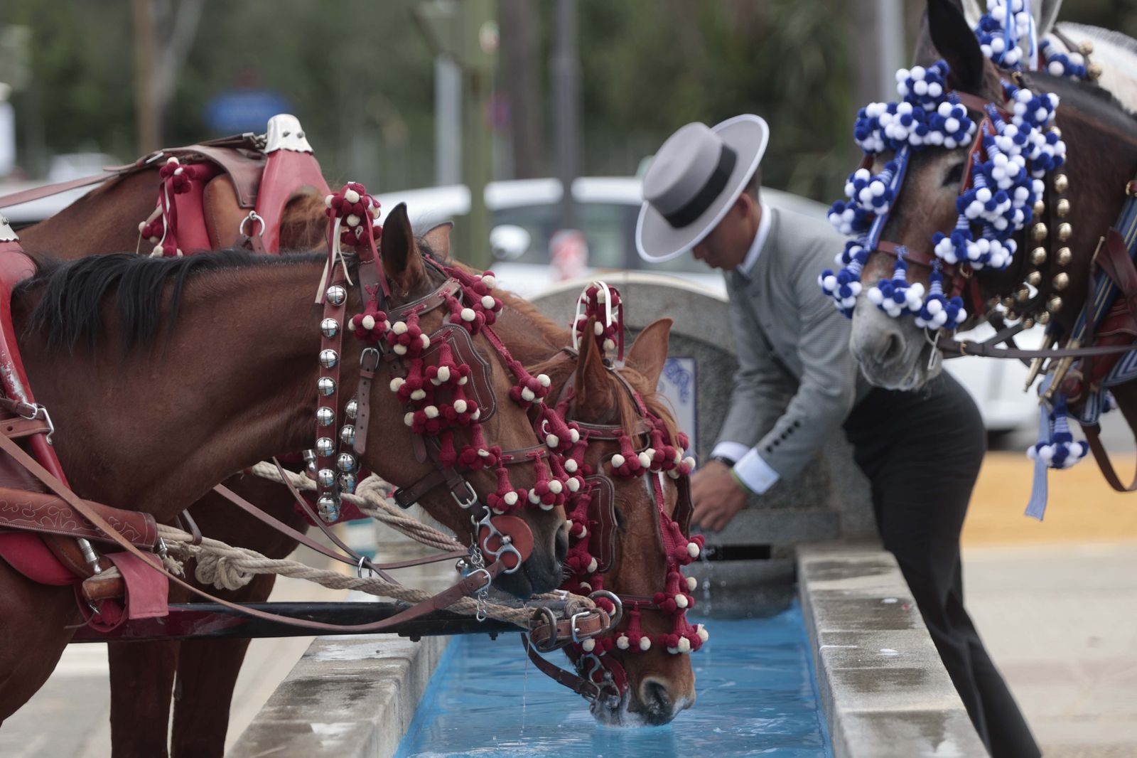 Imágenes del Viernes de Feria