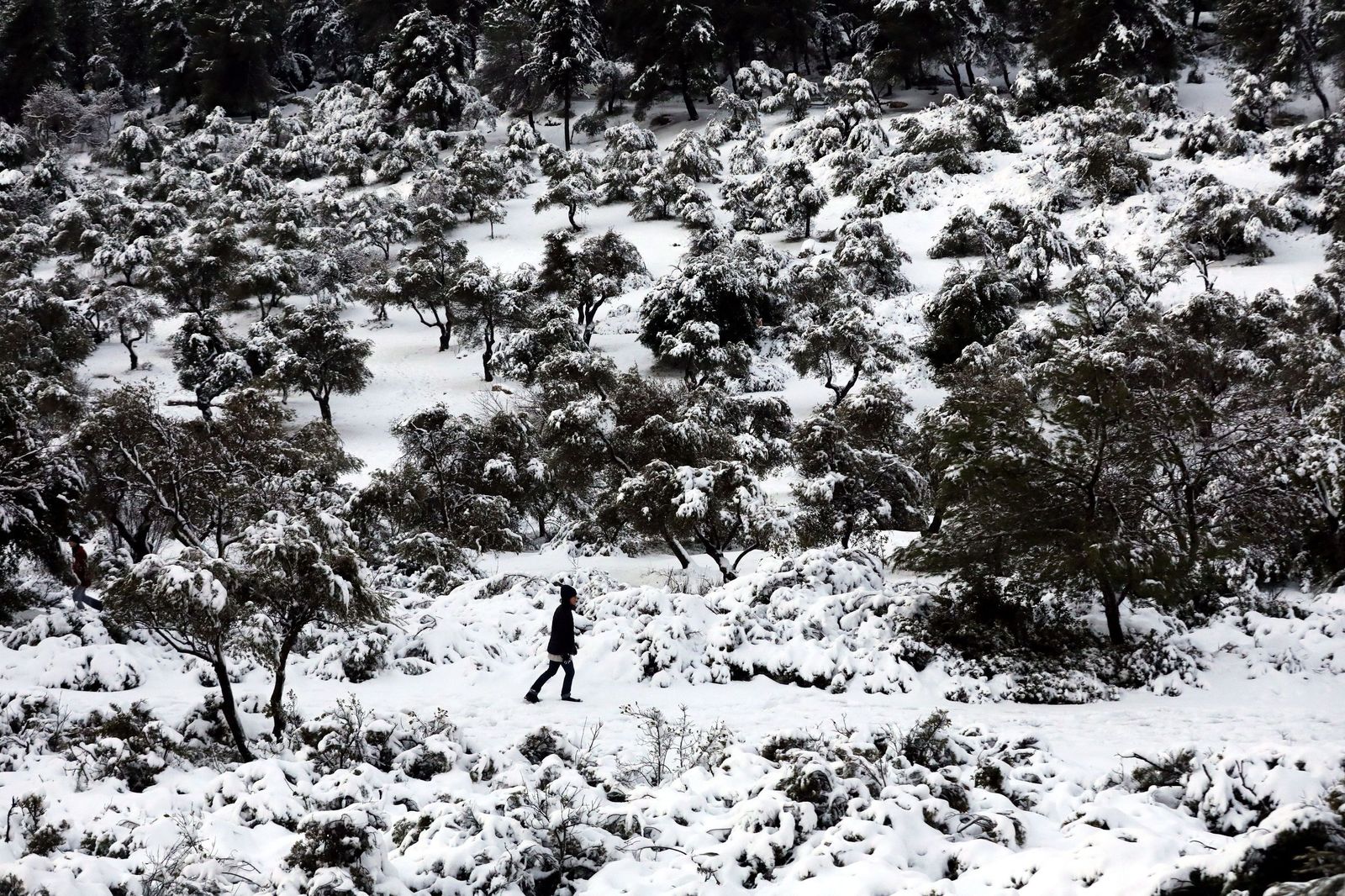 Jerusalén, cubierta de nieve tras el paso del temporal 'Elpida'