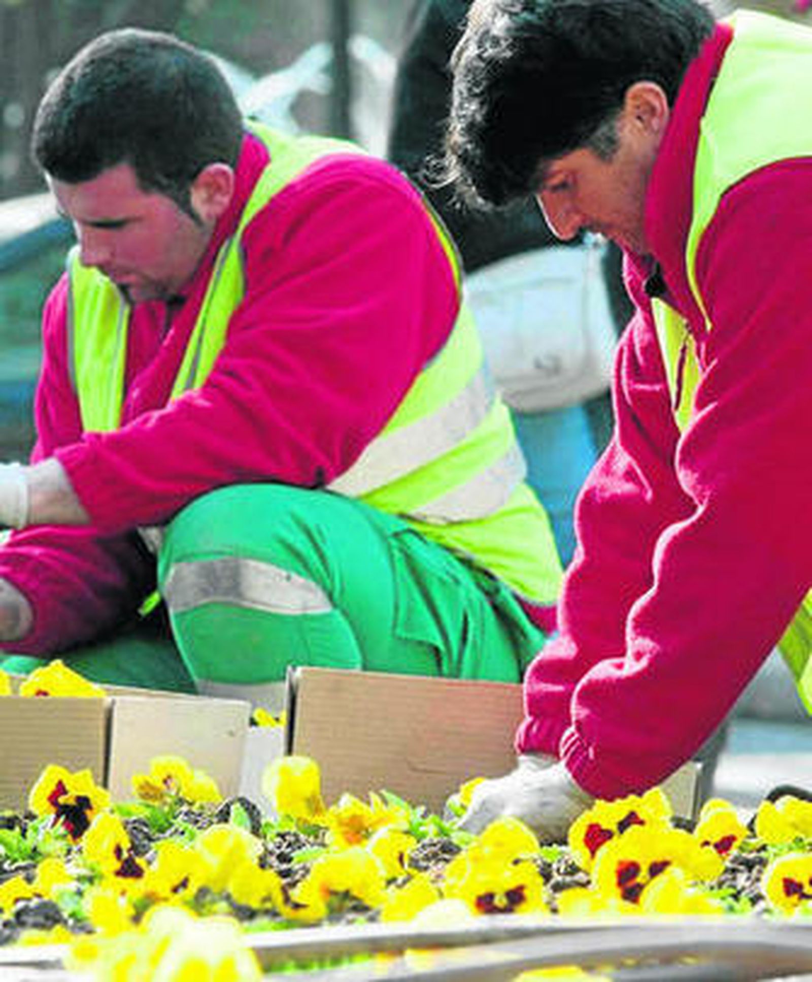 La huelga afecta a 54 trabajadores de la empresa de jardines.