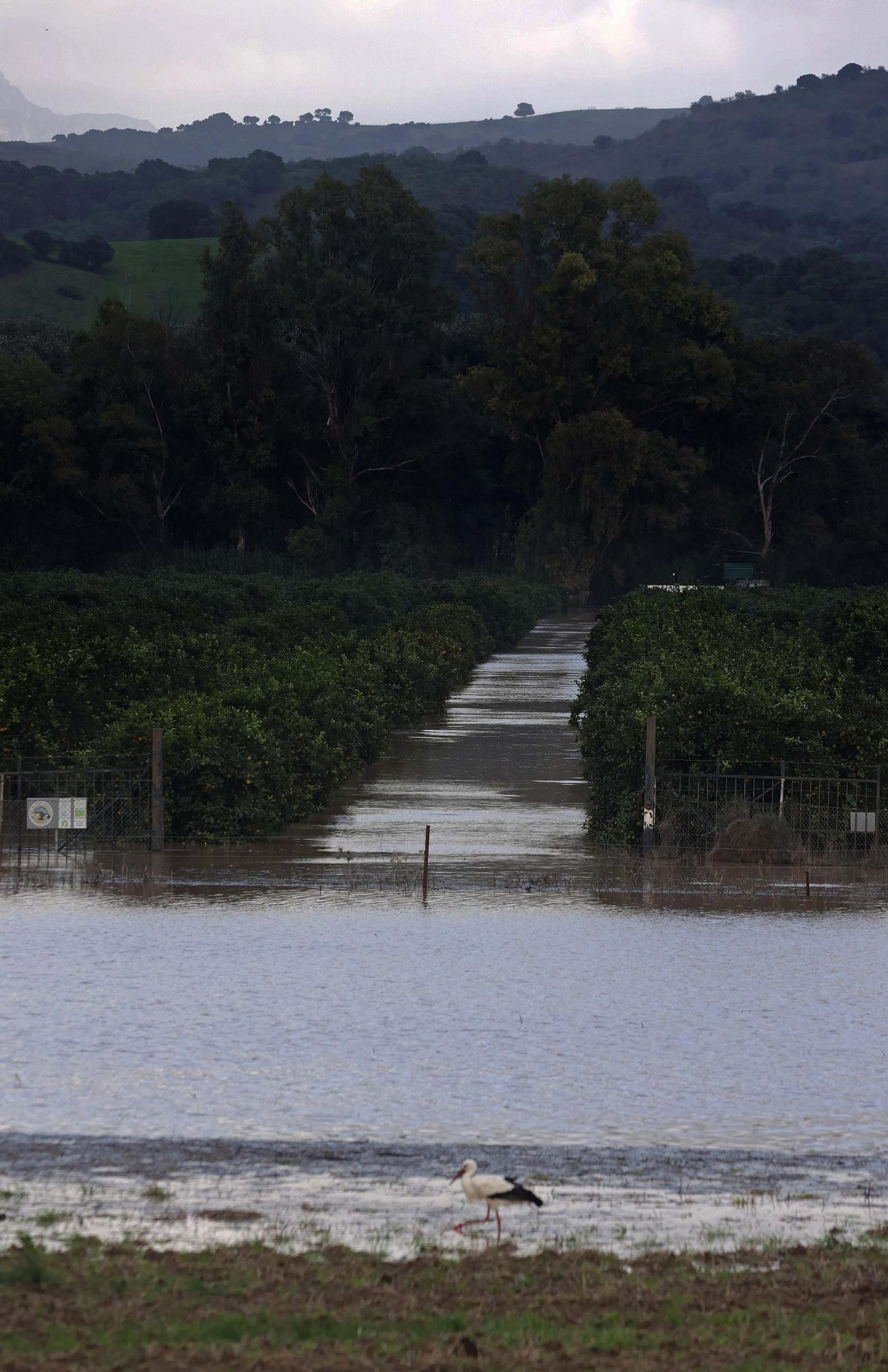 Fotos de la inundaciones en San Pablo de Buceite por la DANA