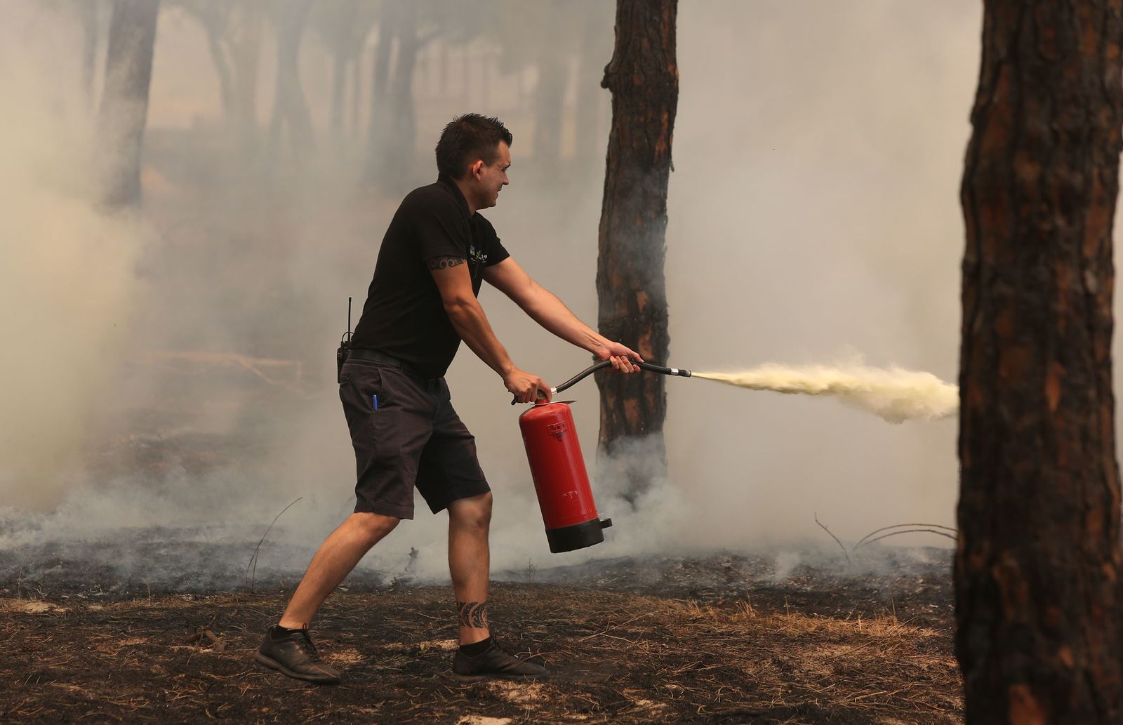 Las consecuencias del incendio en Mazagón