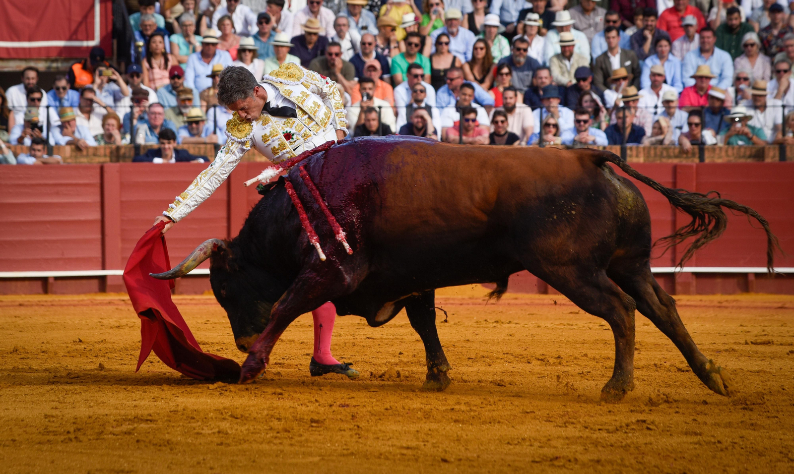 Las imágenes de la corrida de toros de El Fandi, Manuel Escribano y Esaú Fernández