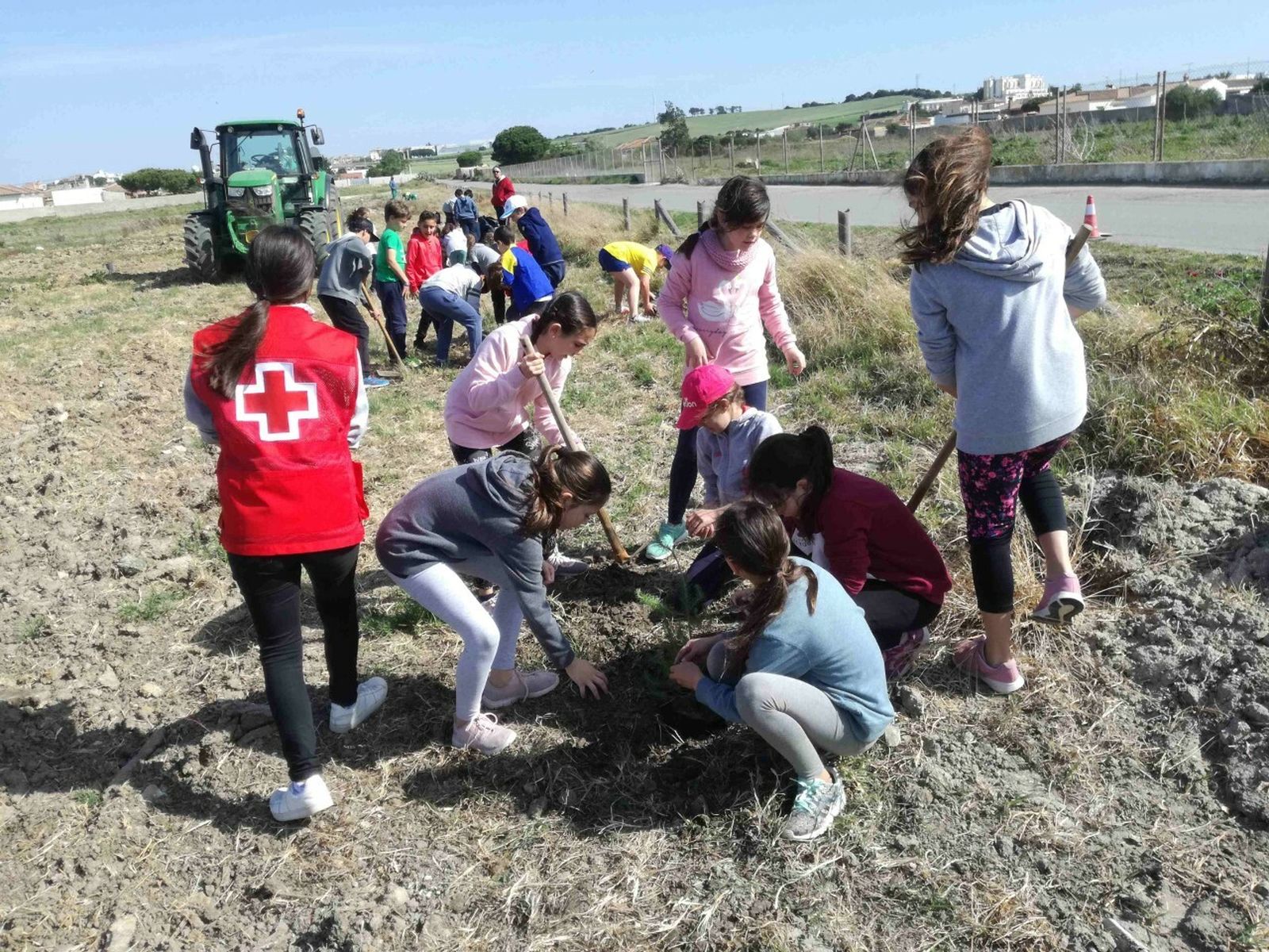 Una de las actividades de los escolares con motivo del Día Mundial del Árbol.