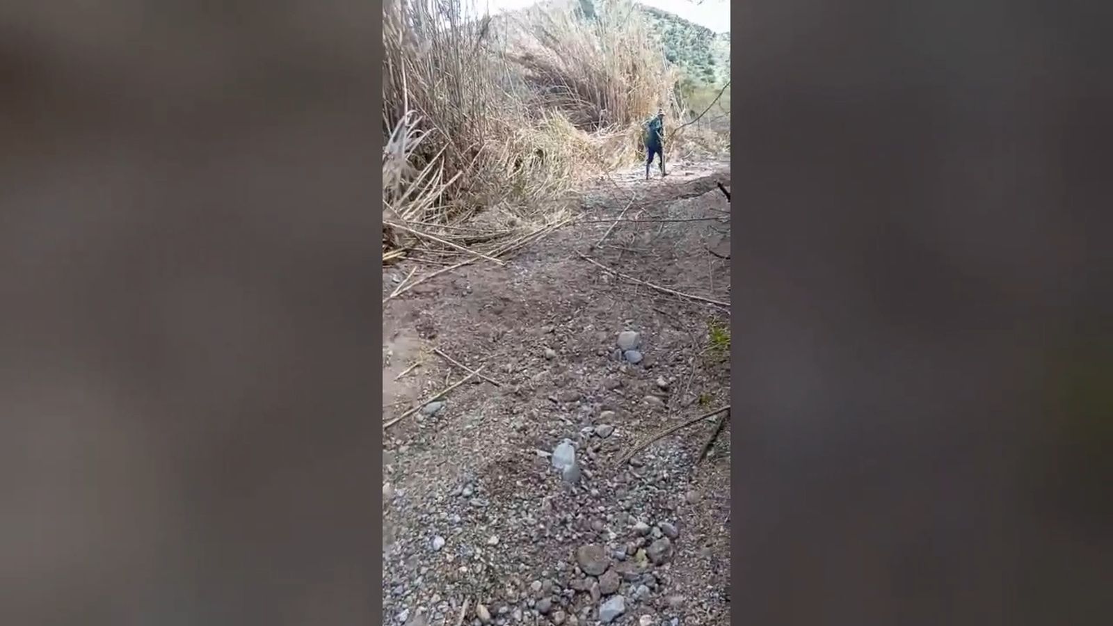 Trabajos sobre el terreno para devolver al arroyo Bocaleones a su cauce originario