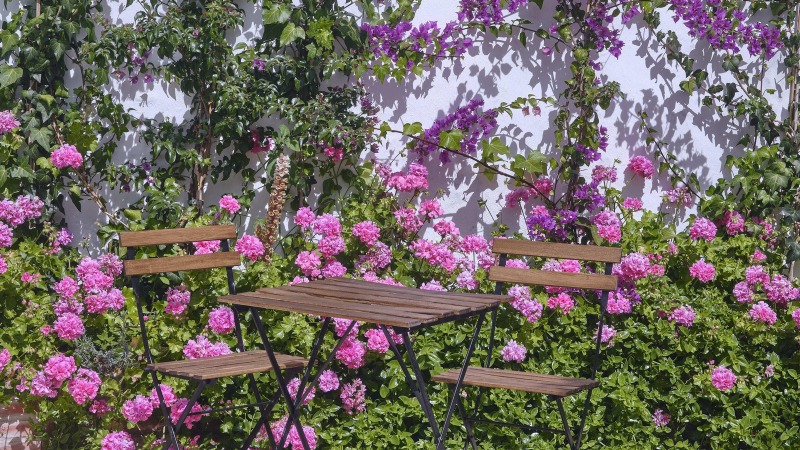 Fiesta de los patios 2023 de El Puerto