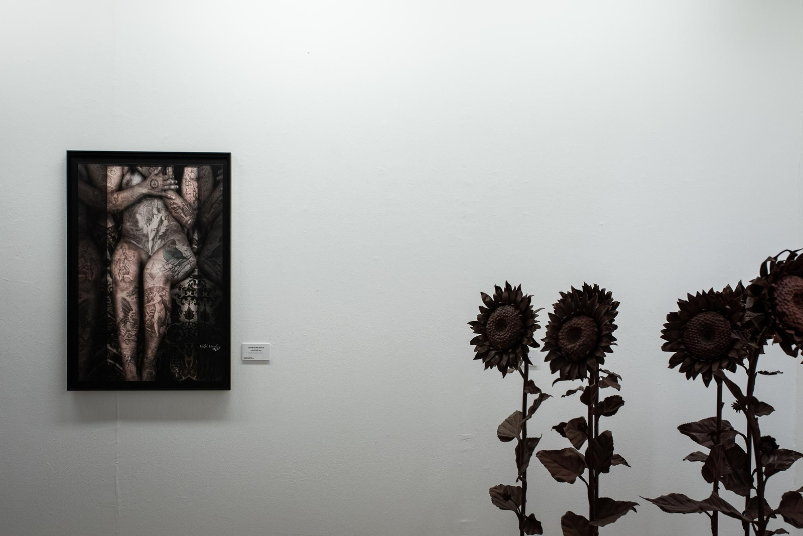 La inauguración de la exposición 'Escultura liberada. Intérpretes de la materia con Venus Petróleo' en imágenes