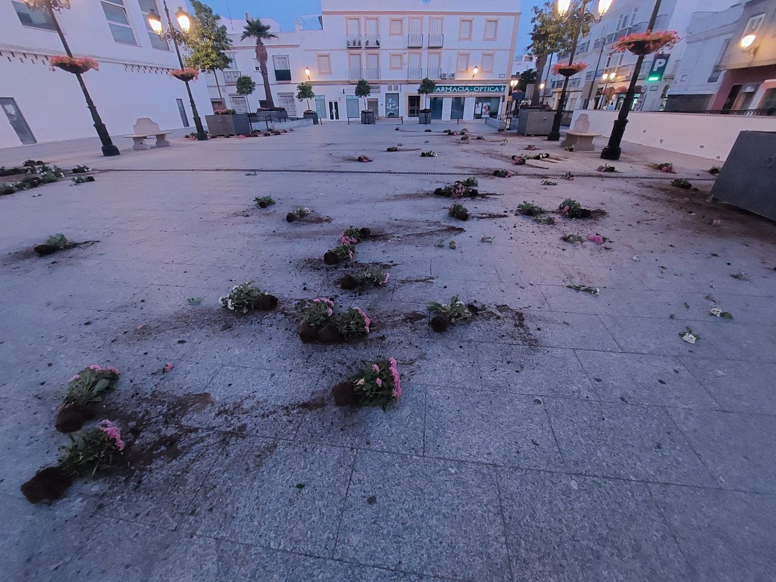 Actos vandálicos en la plaza Mayor.