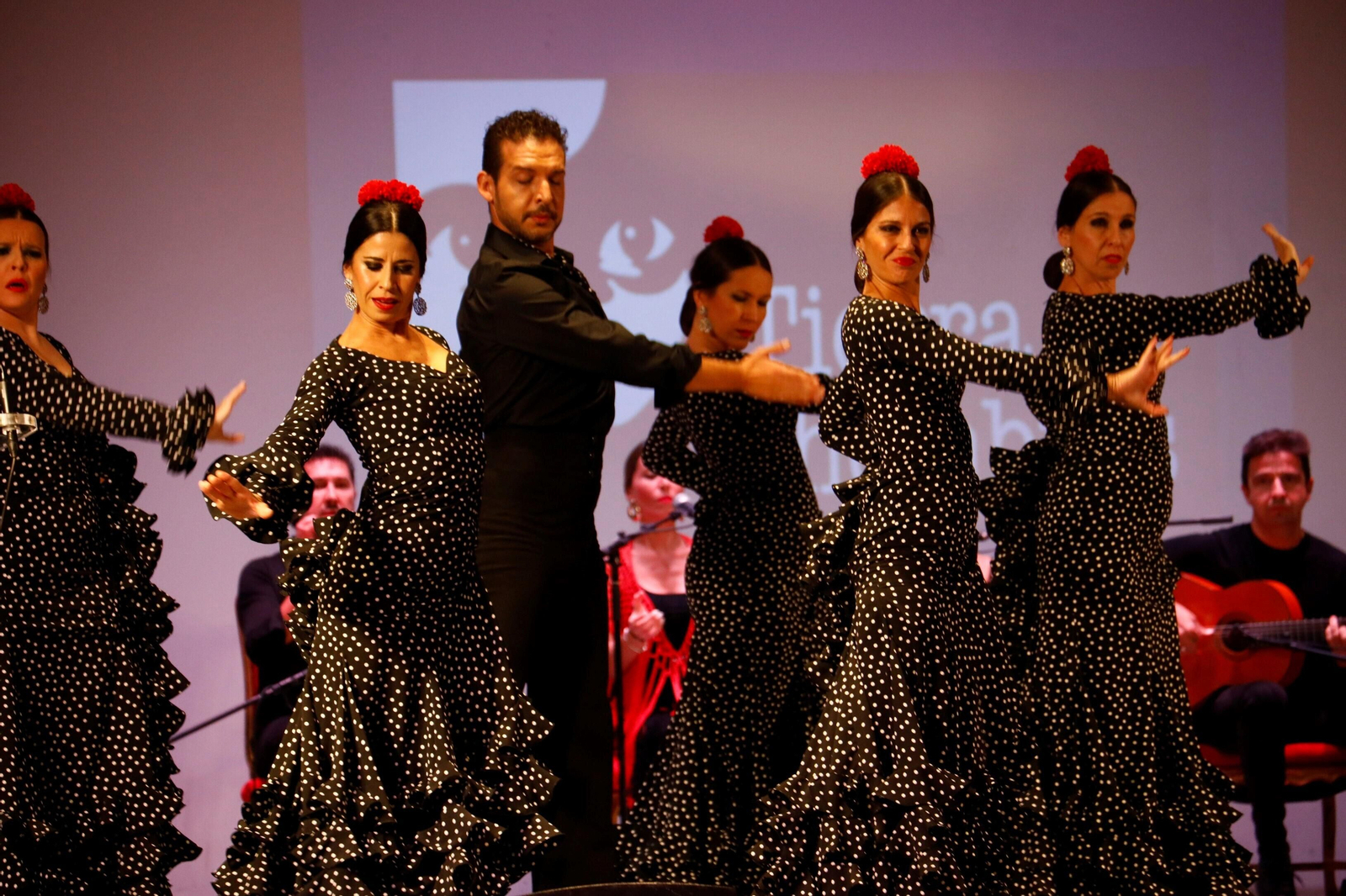 El Encuentro de Escuelas de Baile de Córdoba, en imágenes