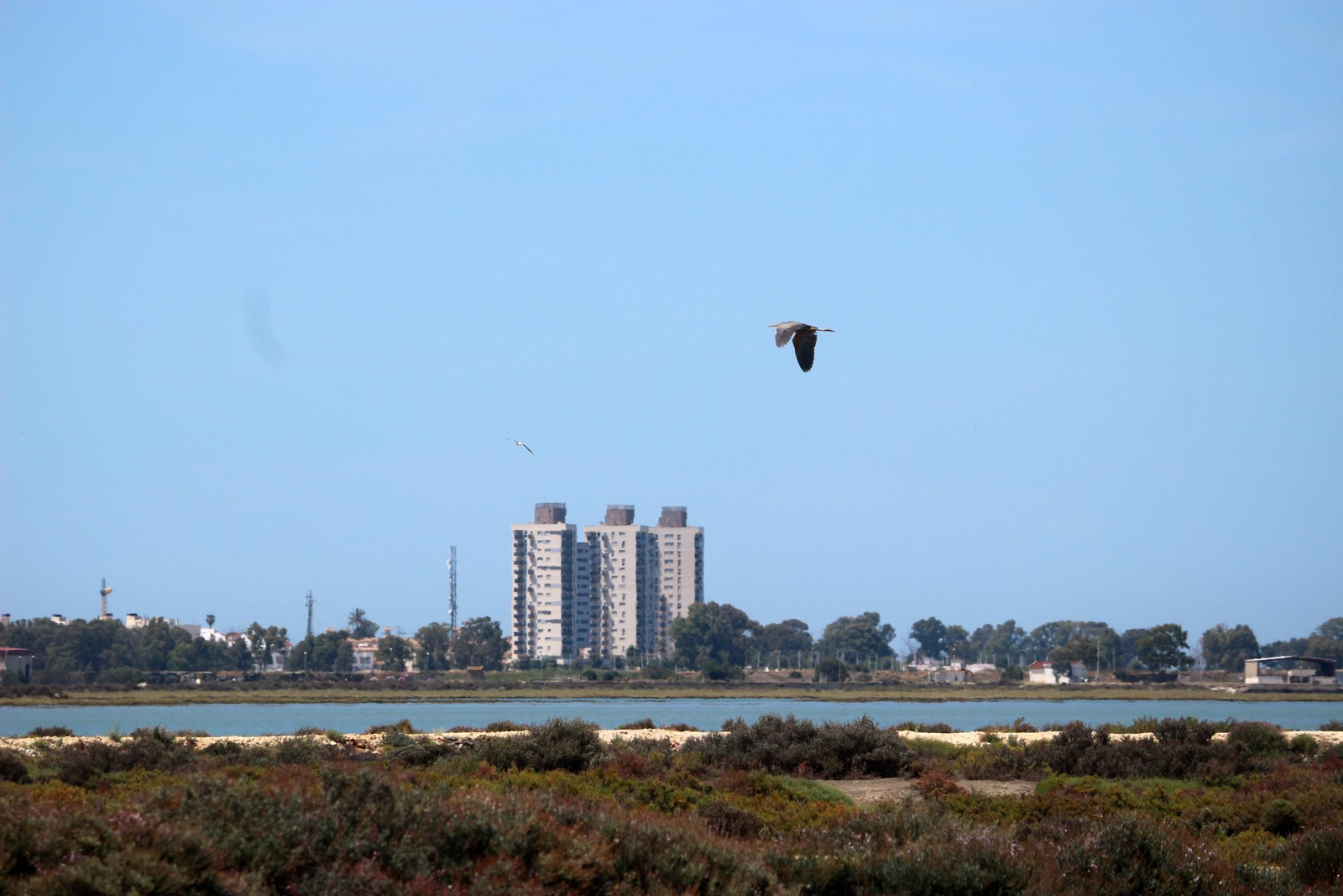 La recuperación de la Salina Balbanera, en imágenes