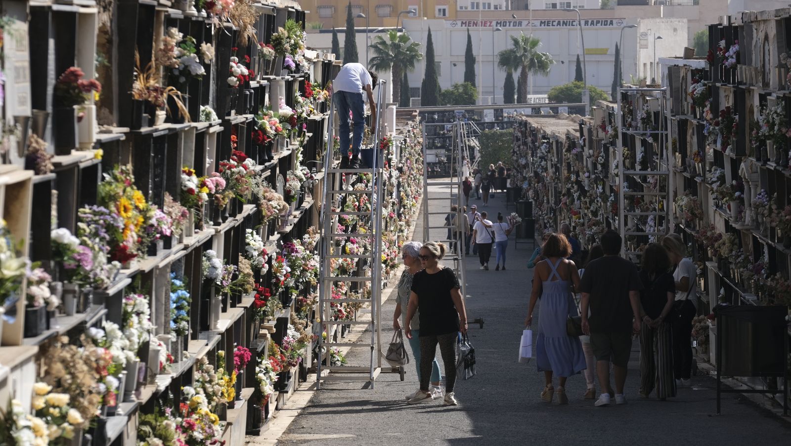 Imágenes del Día de Todos los Santos en el Cementerio de San José de Almería