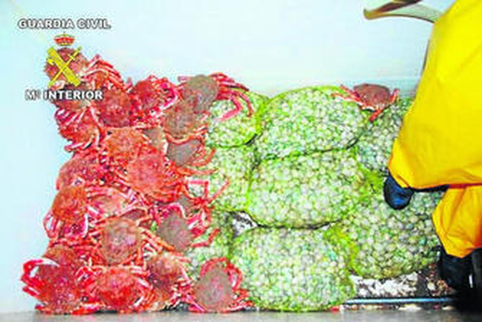 Imagen de la mercancía declarada y la no declarada intervenida.