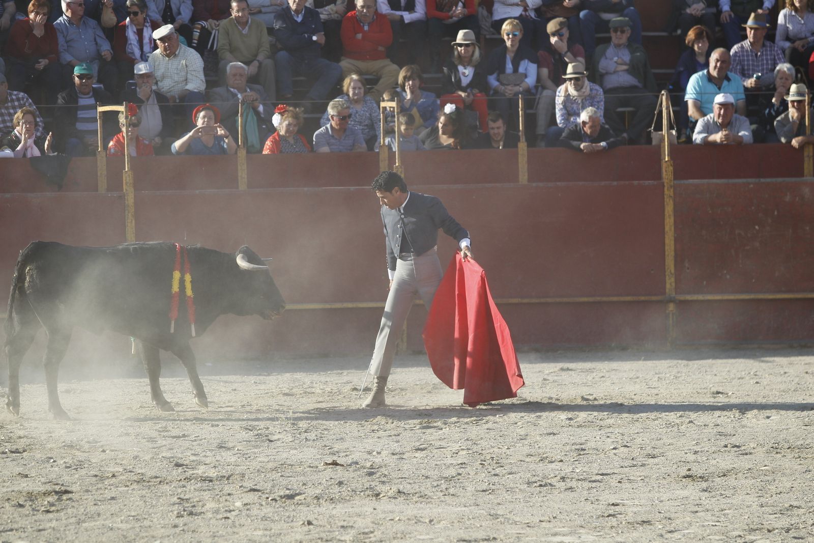 Fotogalería Festival Taurino Mixto. Fiestas de Abrucena.