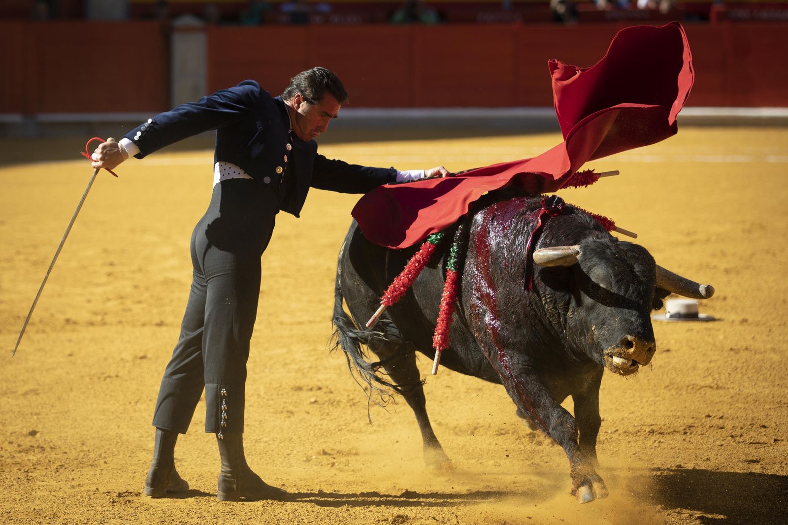 Las mejores imágenes del Festival Taurino en beneficio de Granadadown