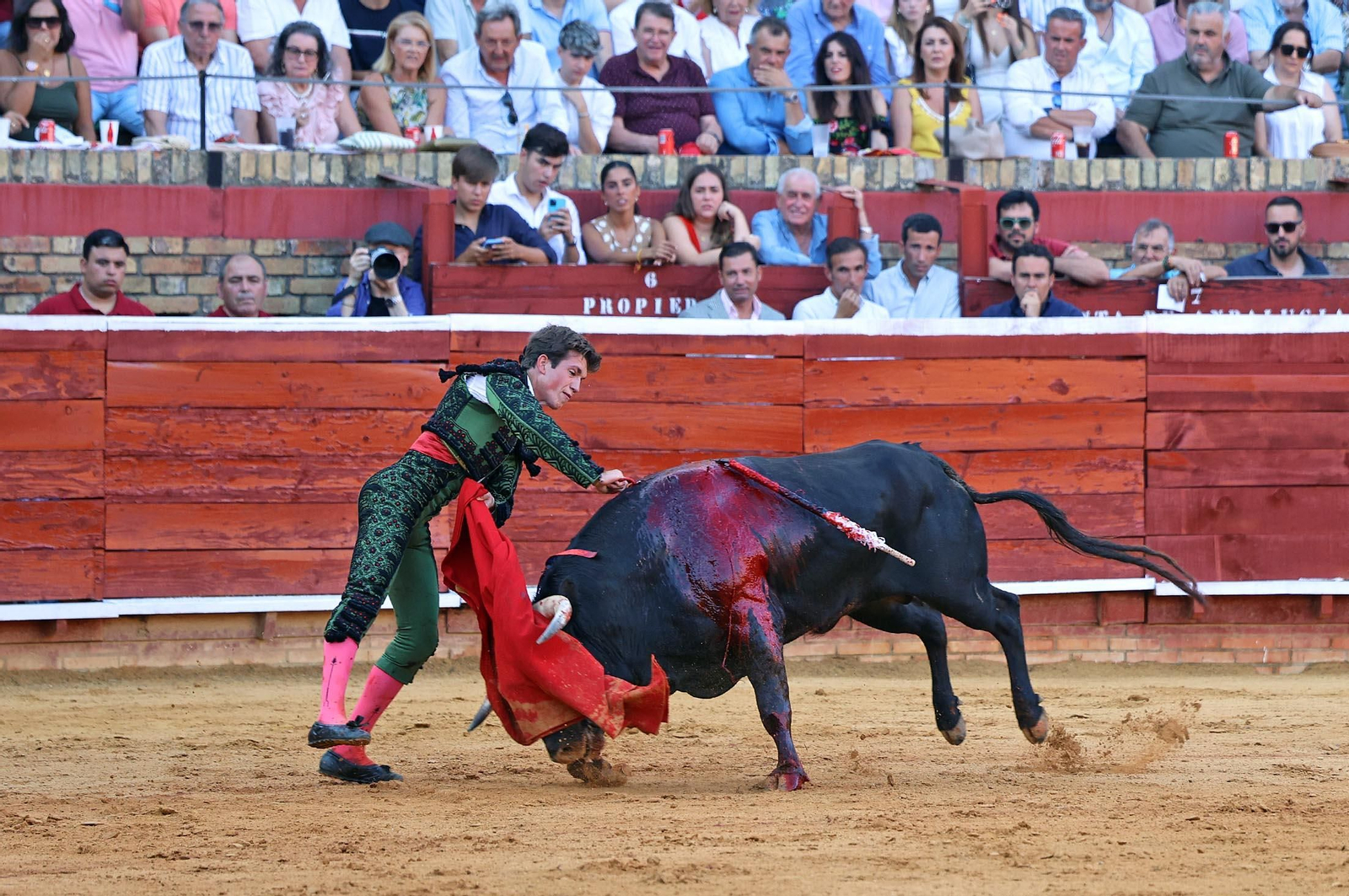 Toros La Merced 2025: Imágenes de la Novillada de Javier Zulueta, Cristian González y Carlos Tirado