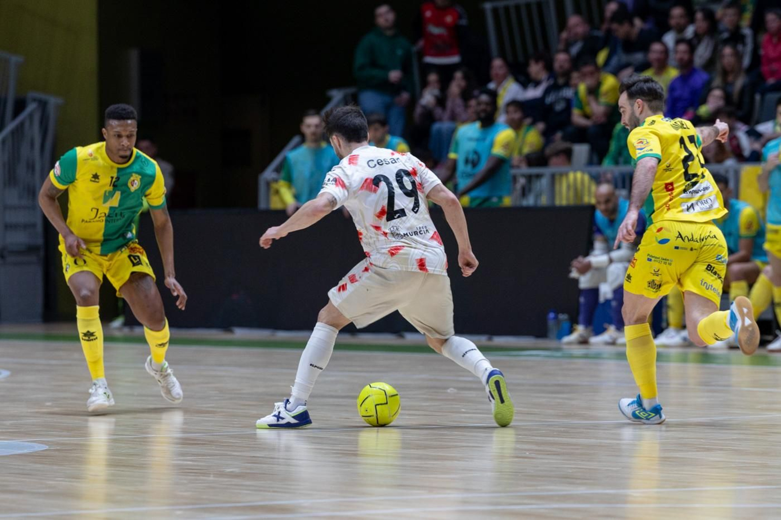 Las mejores fotos del empate entre Jaén Paraíso Interior FS y ElPozo Murcia