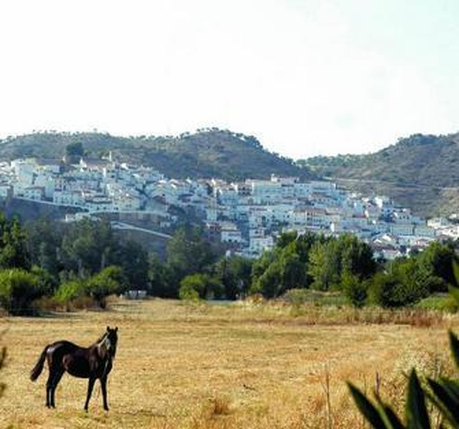 El municipio se encuentra protegido por los restos de la fortaleza nazarí.