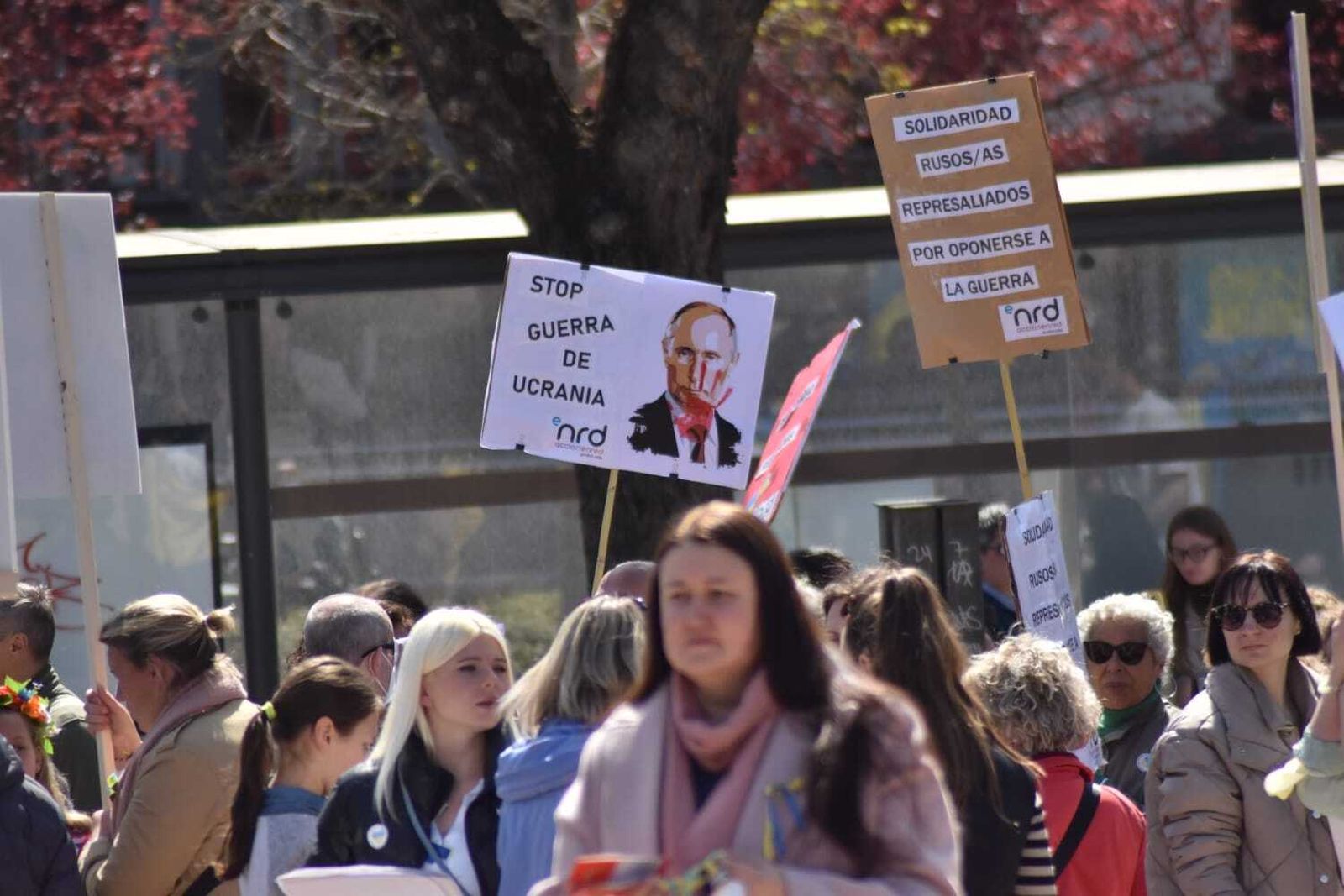 Así ha sido la movilización en Granada en apoyo al pueblo ucraniano