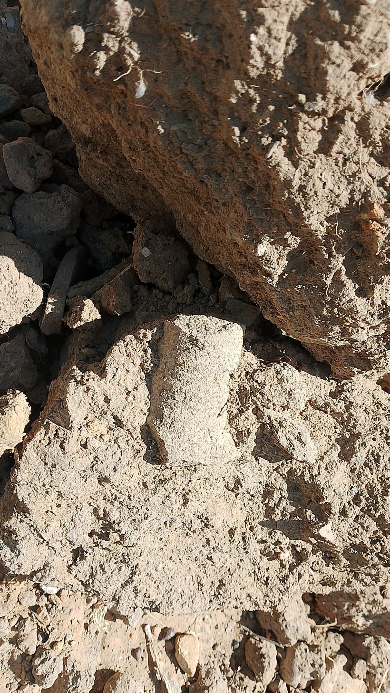 Restos arqueológicos aparecidos en el cabezo de San Pedro de Huelva.