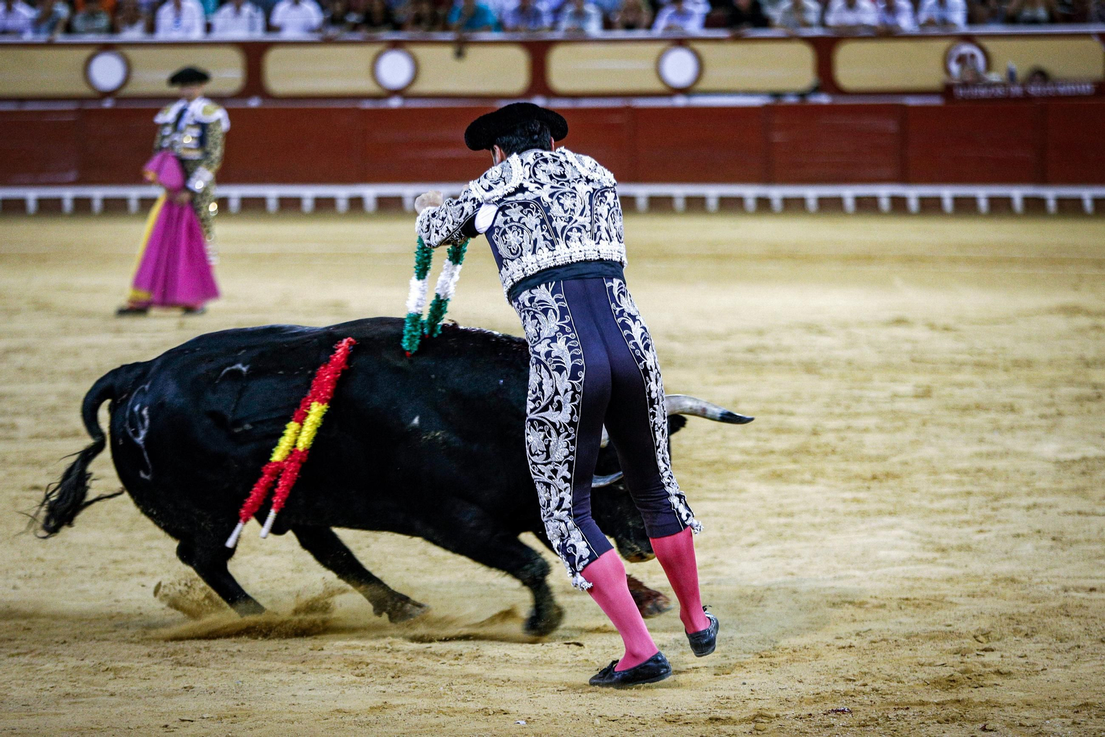 Imágenes de la corrida de toros en El Puerto: Manzanares, Roca Rey y Pablo Aguado