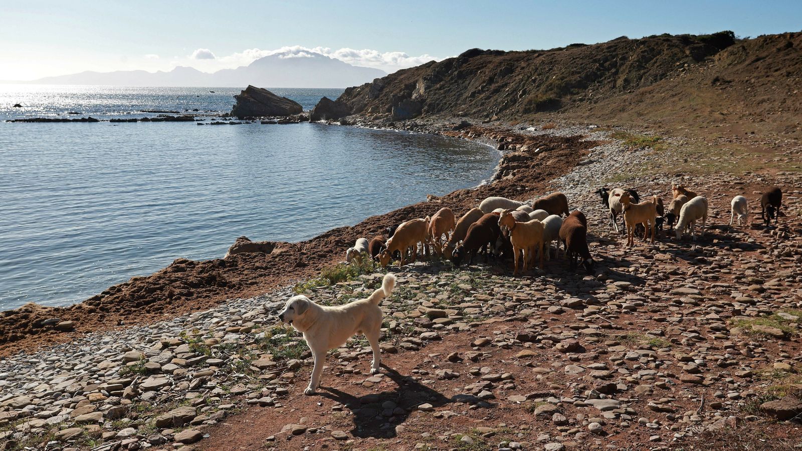 Las mejores fotos del sendero de la Colada de la Costa en Algeciras