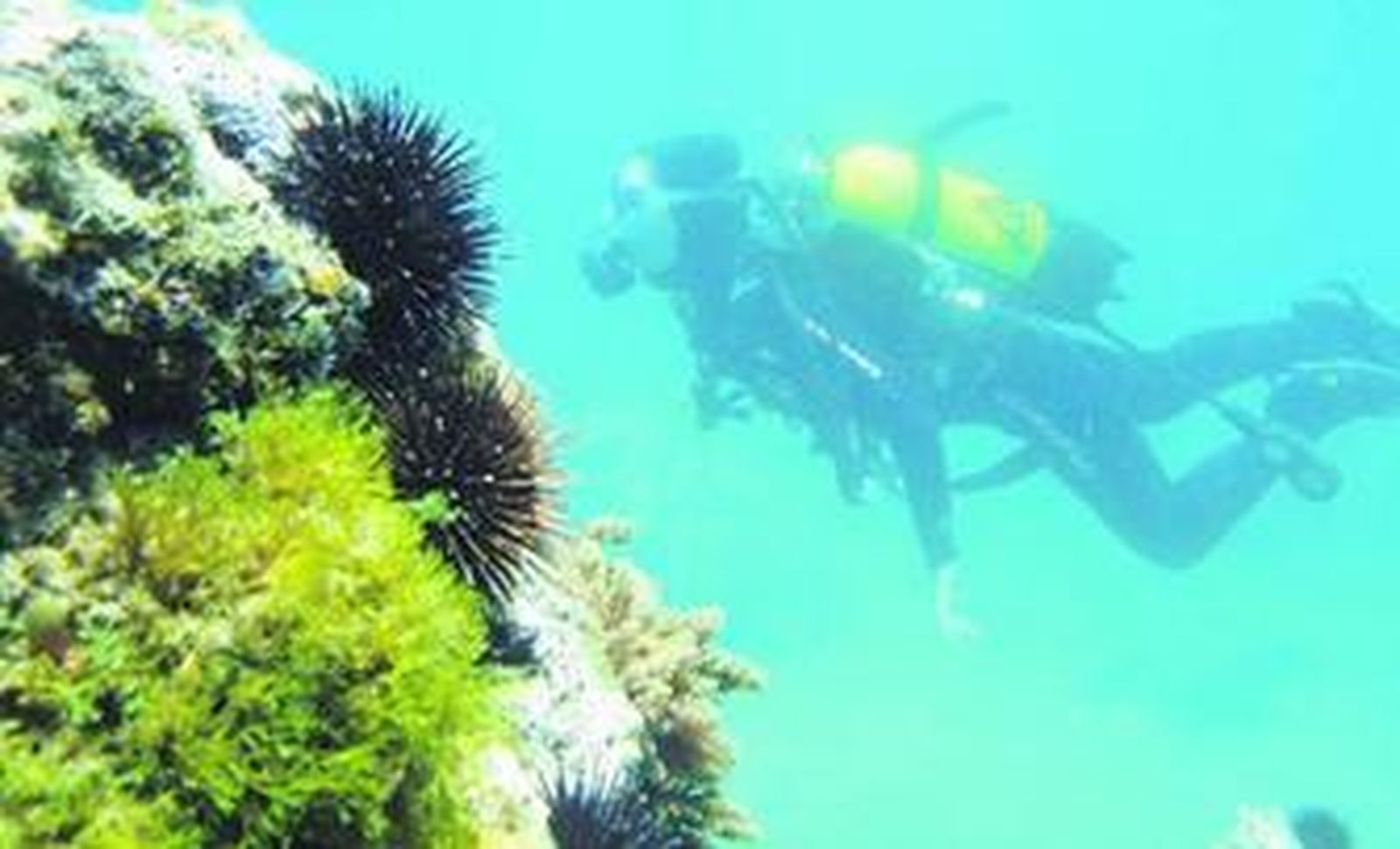 Una de las alumnas del club Nitrox Sevilla, durante un curso de iniciación.