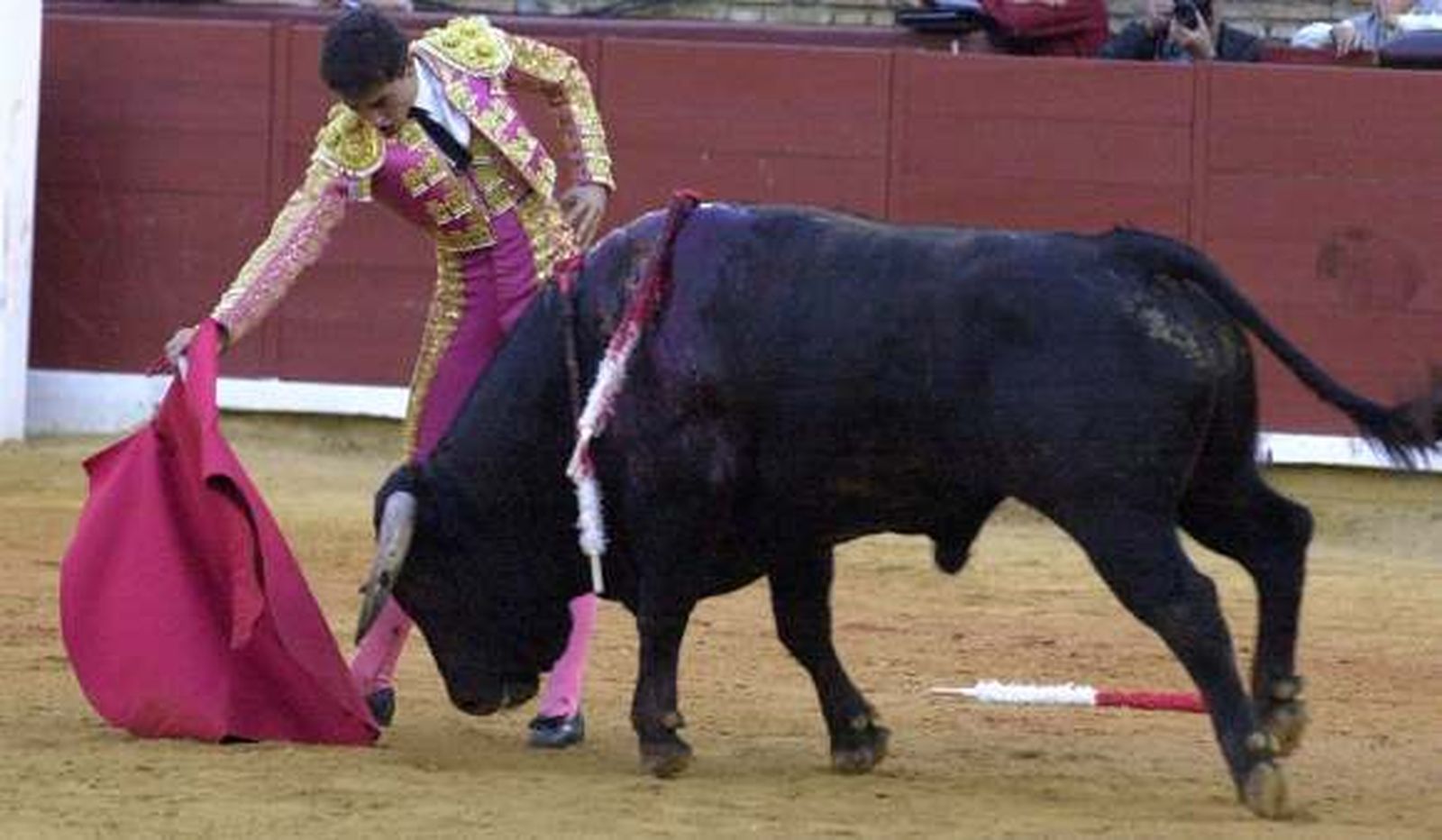 Suspendida la corrida de toros de hoy por falta de peso del ganado de Jaralta