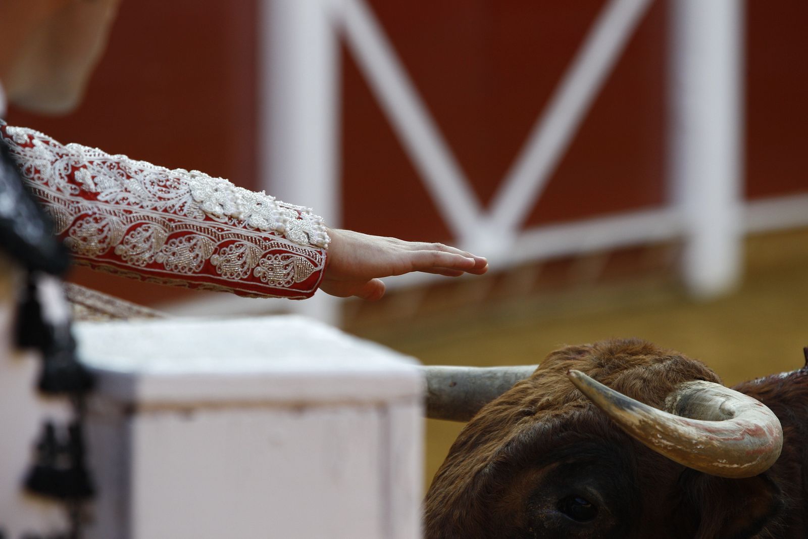 Fotogalería corrida de toros. Cayetano Rivera, Paco Ureña y Roca Rey. Roquetas de Mar.