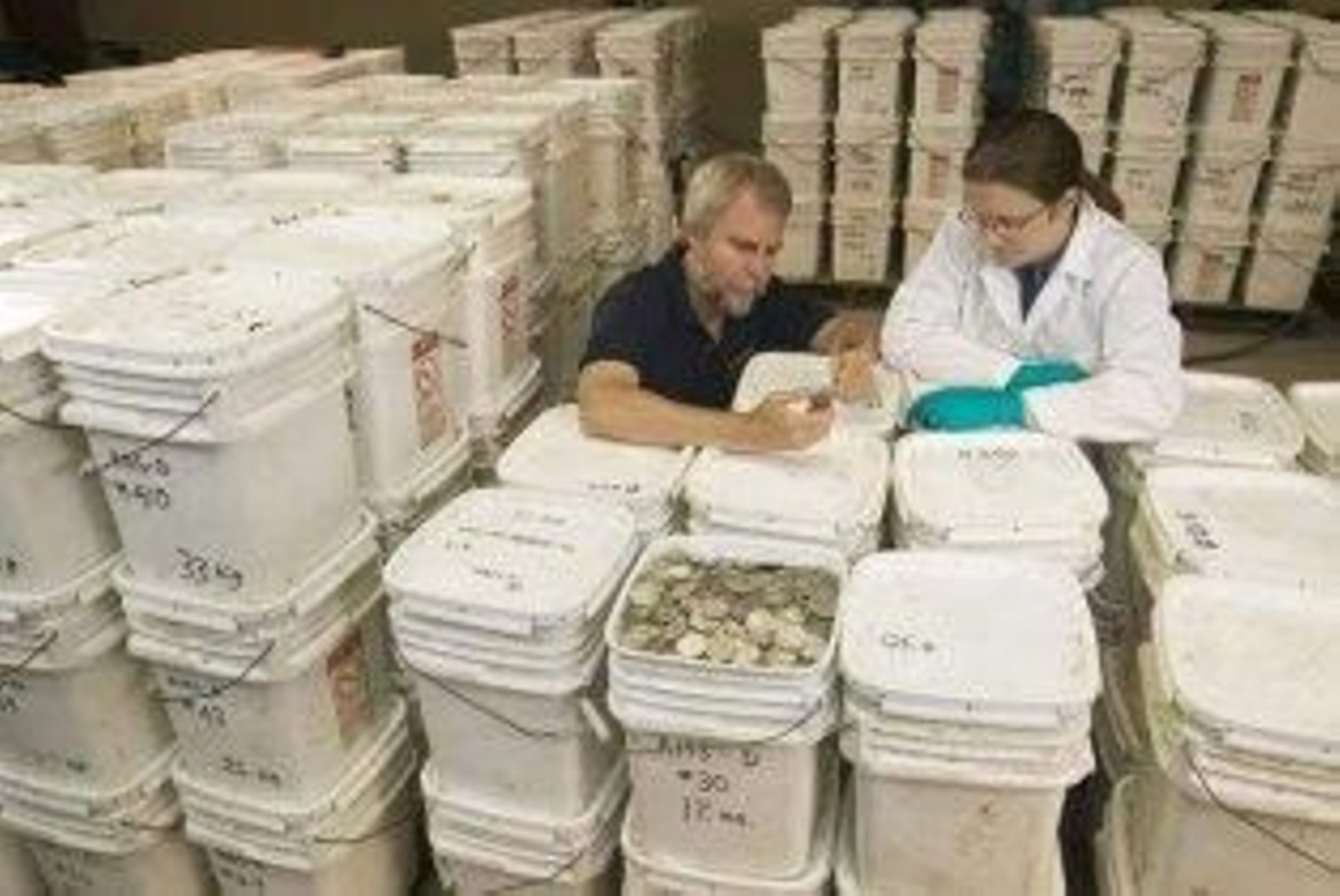 Un juez ordena a Odyssey entregar el tesoro a España en diez días