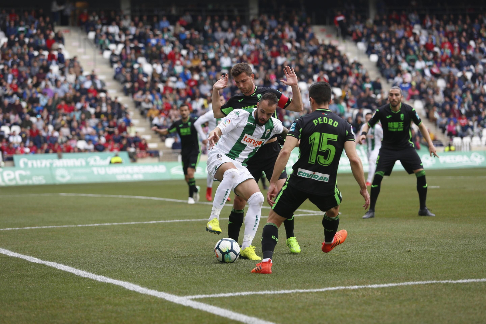 El Córdoba CF-Granada CF, en imágenes