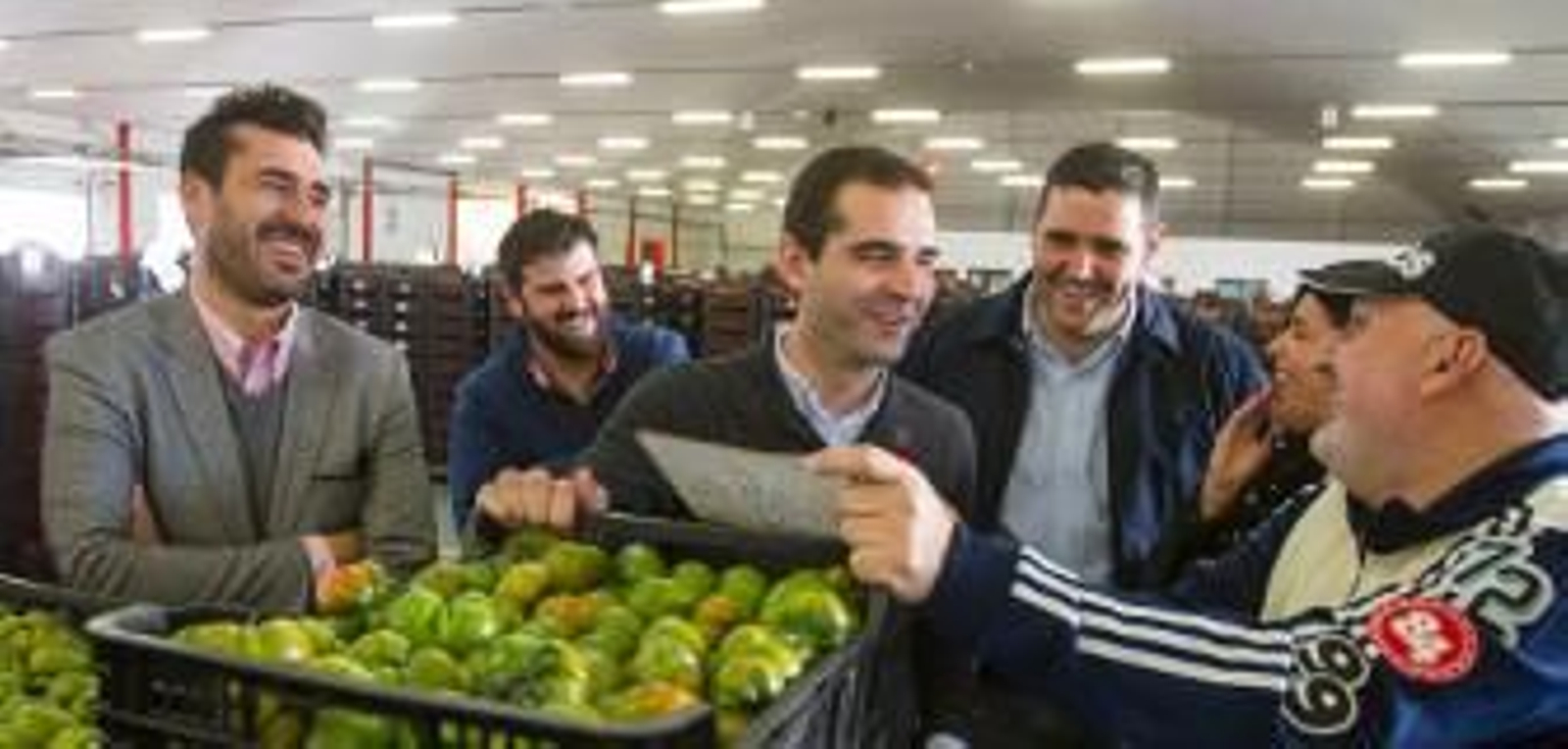 El alcalde visita Agrupalmería para conocer cómo se consigue el mejor tomate del mundo
