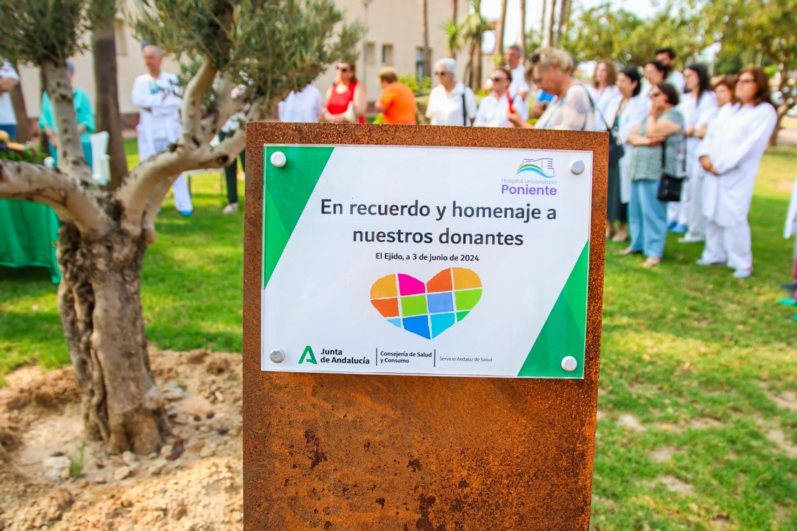 Imágenes del homenaje a los donantes de órganos y tejidos en el Hospital de Poniente