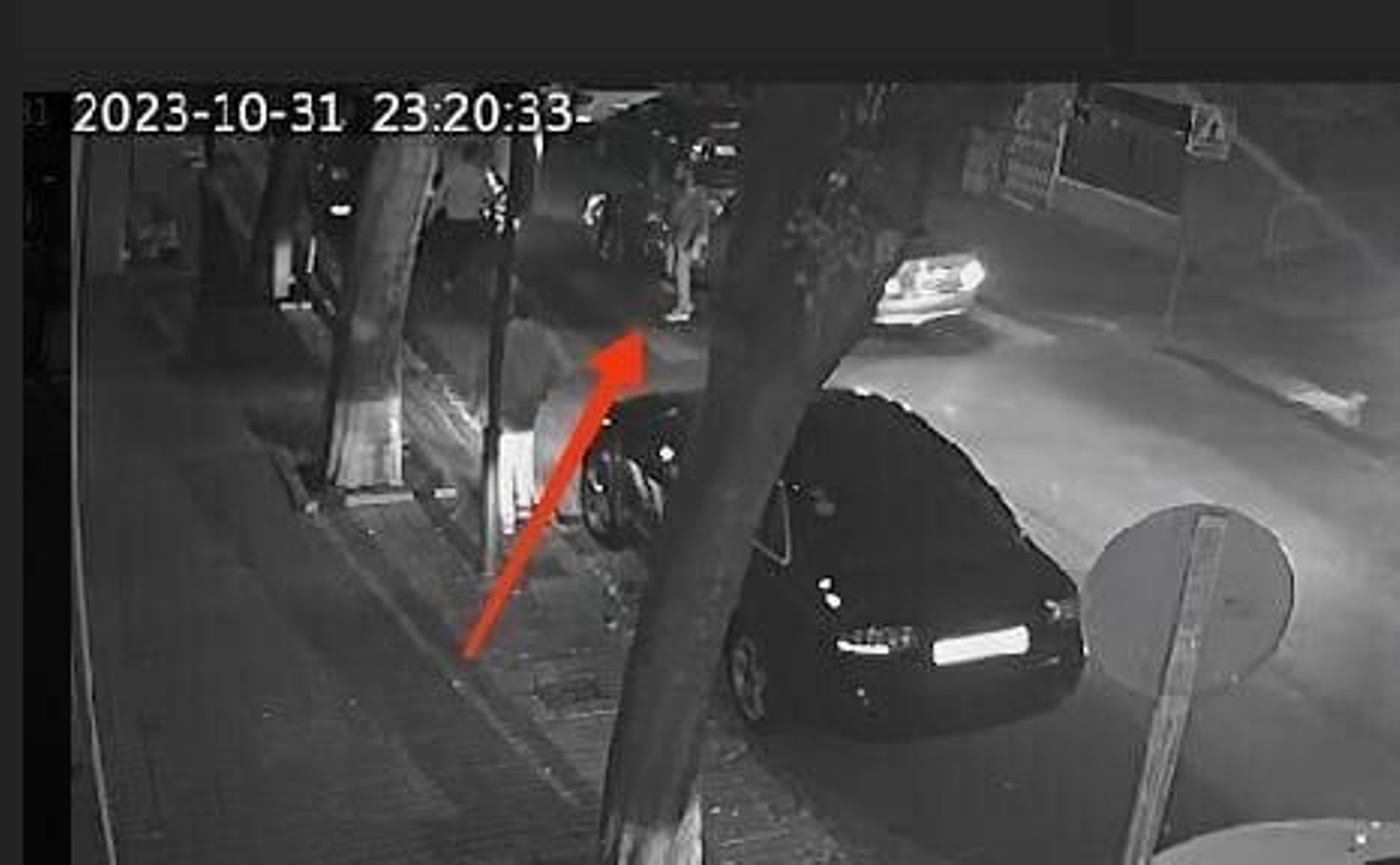 Imagen difundida por la Policía Local del conductor.